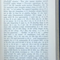 Roma-p71
