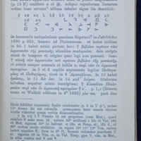 Ms_V-p15