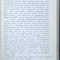 Neapolis-p57