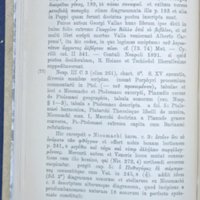 Neapolis-p54