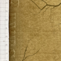 POL KERVILER25-III3e-2025.jpg