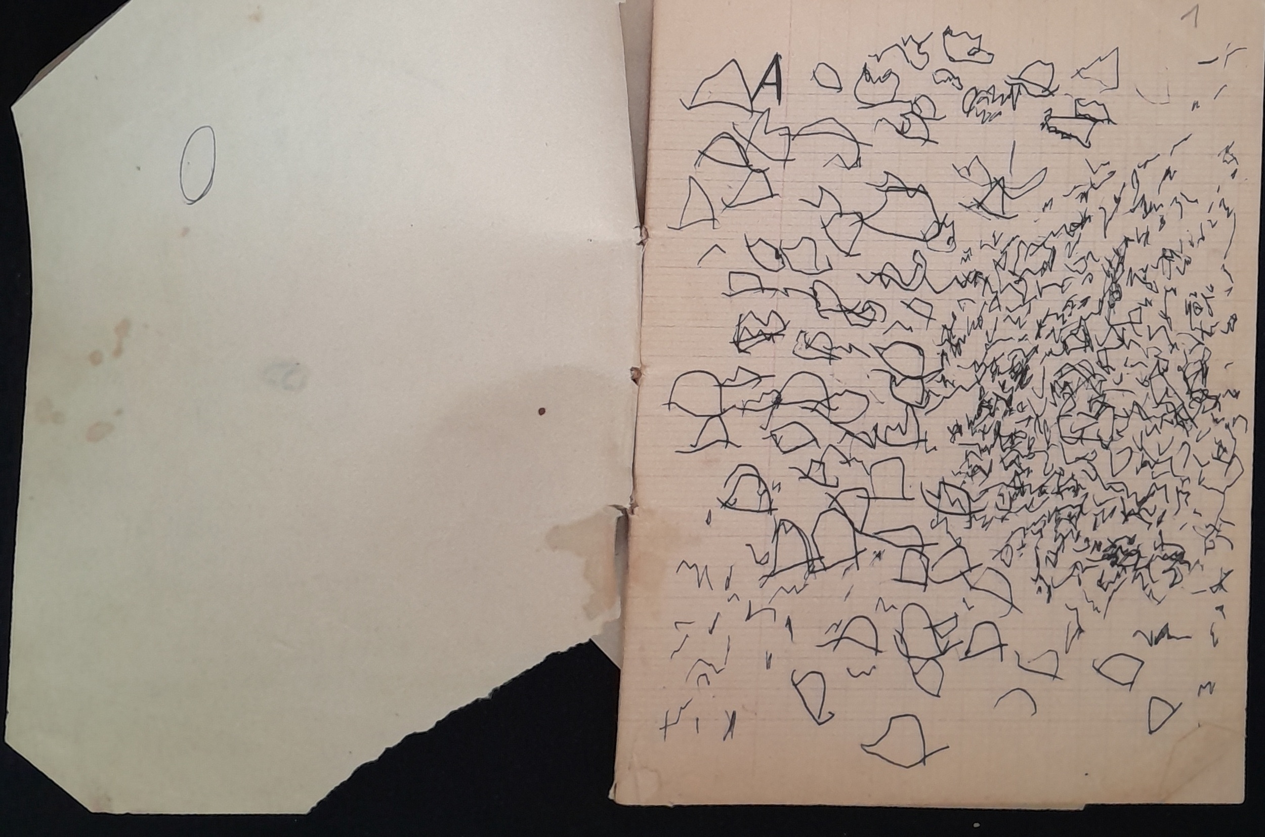 15.5.3 CahiermanuscritsLeCrocodile-1.jpg