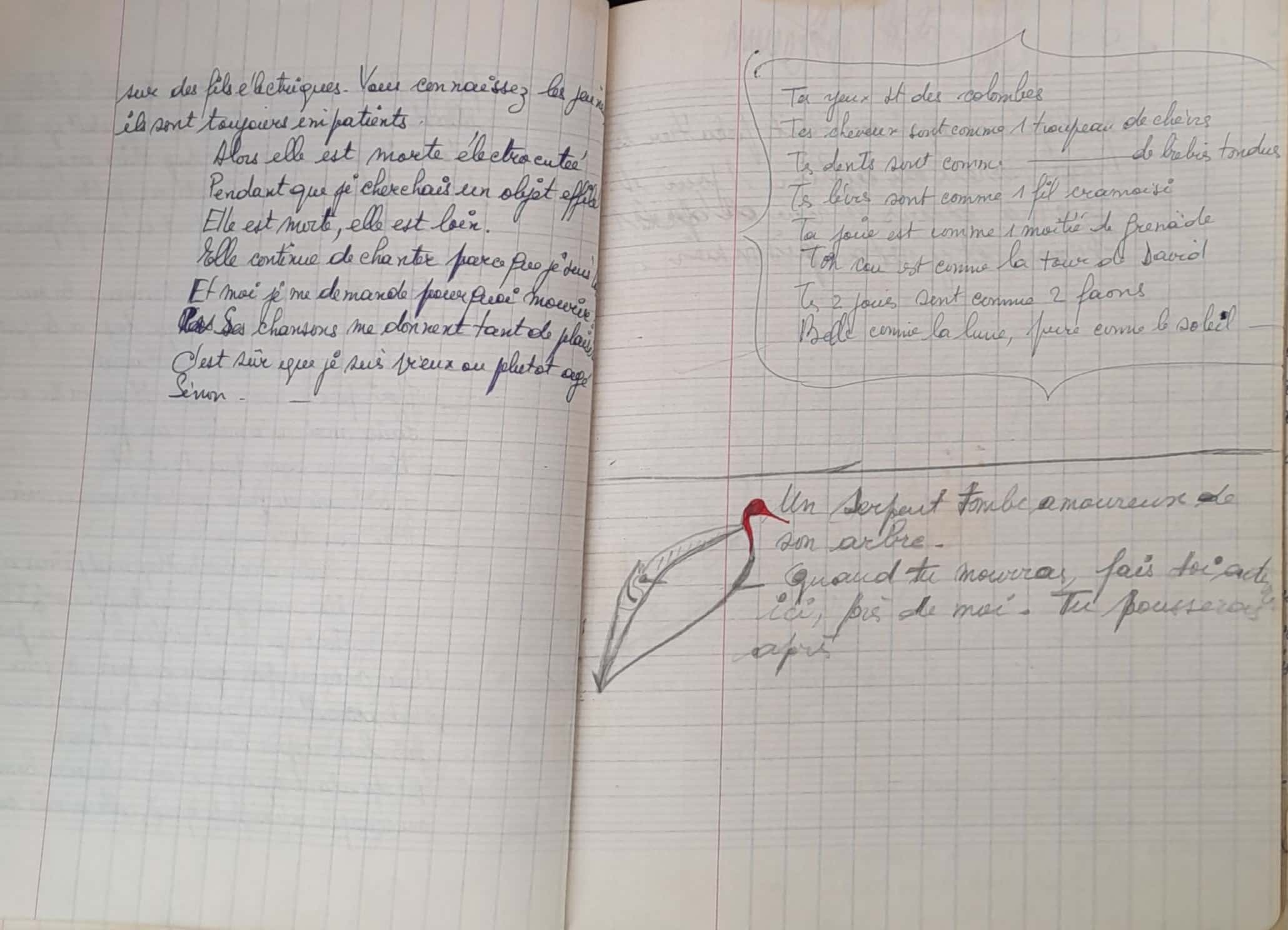 15.1.2 Lorsque je ne serai plus là5.jpg 15.1.2 Lorsque je ne serai plus là5.jpg