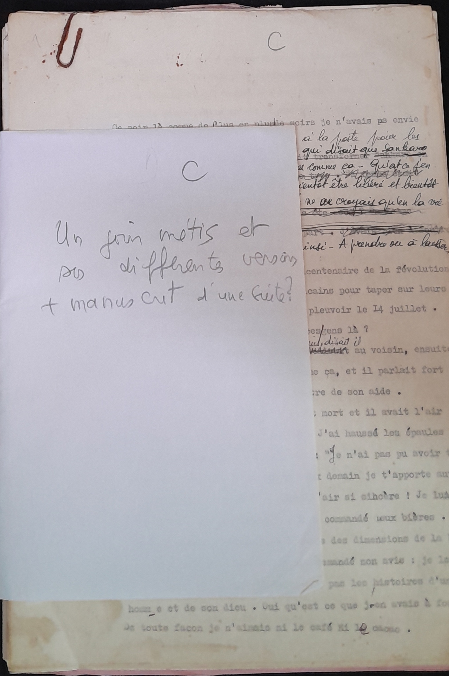 22.4.3 UnJourMétisC-0.jpg