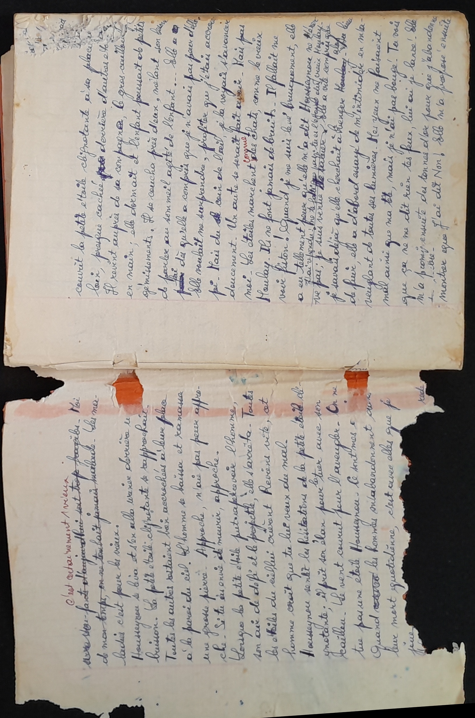 15.4.1 Cahier Le Lion4.jpg