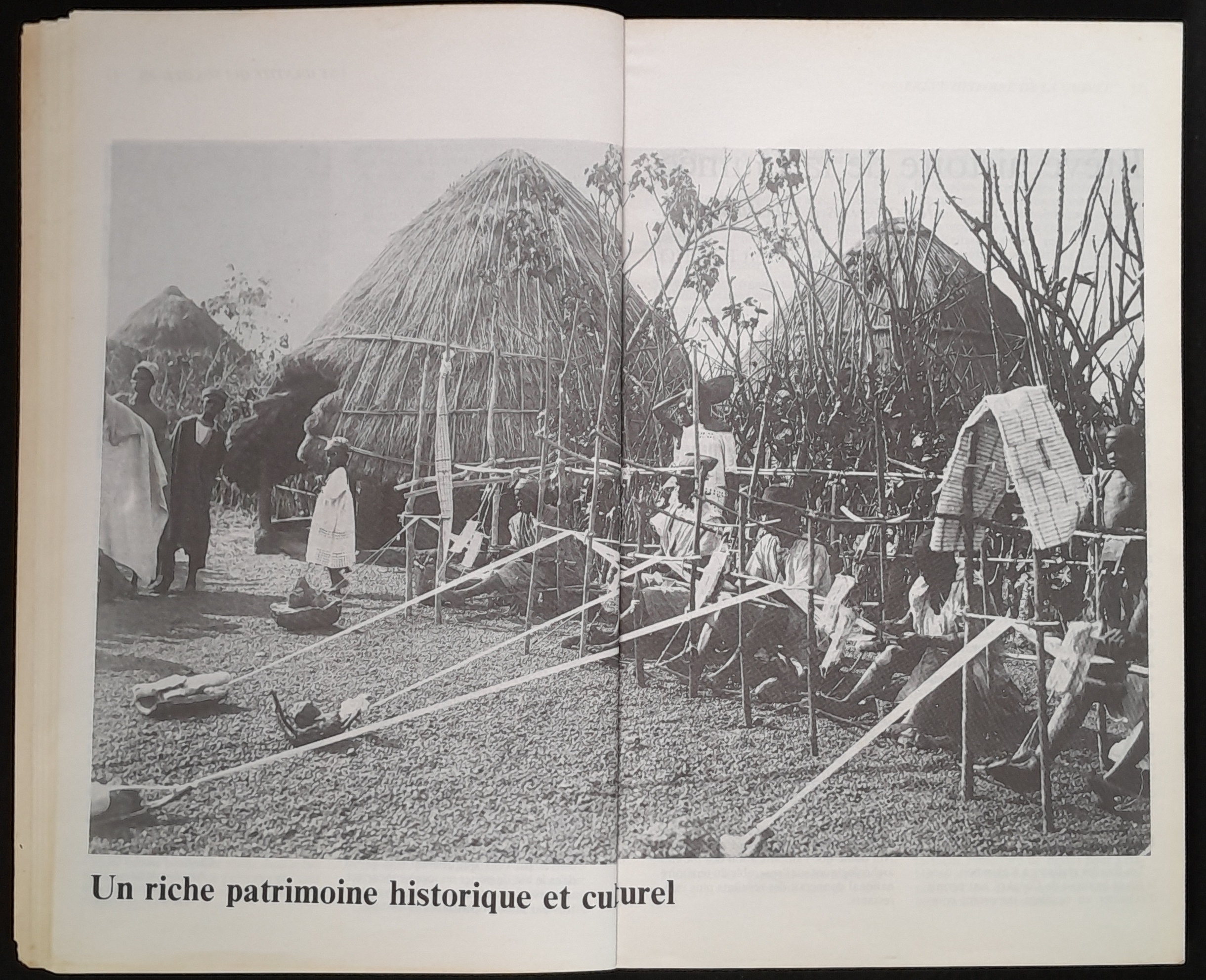 16.2 NotreLibrairie Litte╠üratureGuine╠üenne-9.jpg