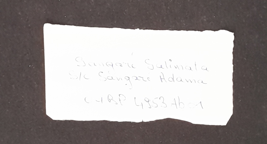 15.9 NotesDiverses Adresses-6.jpg