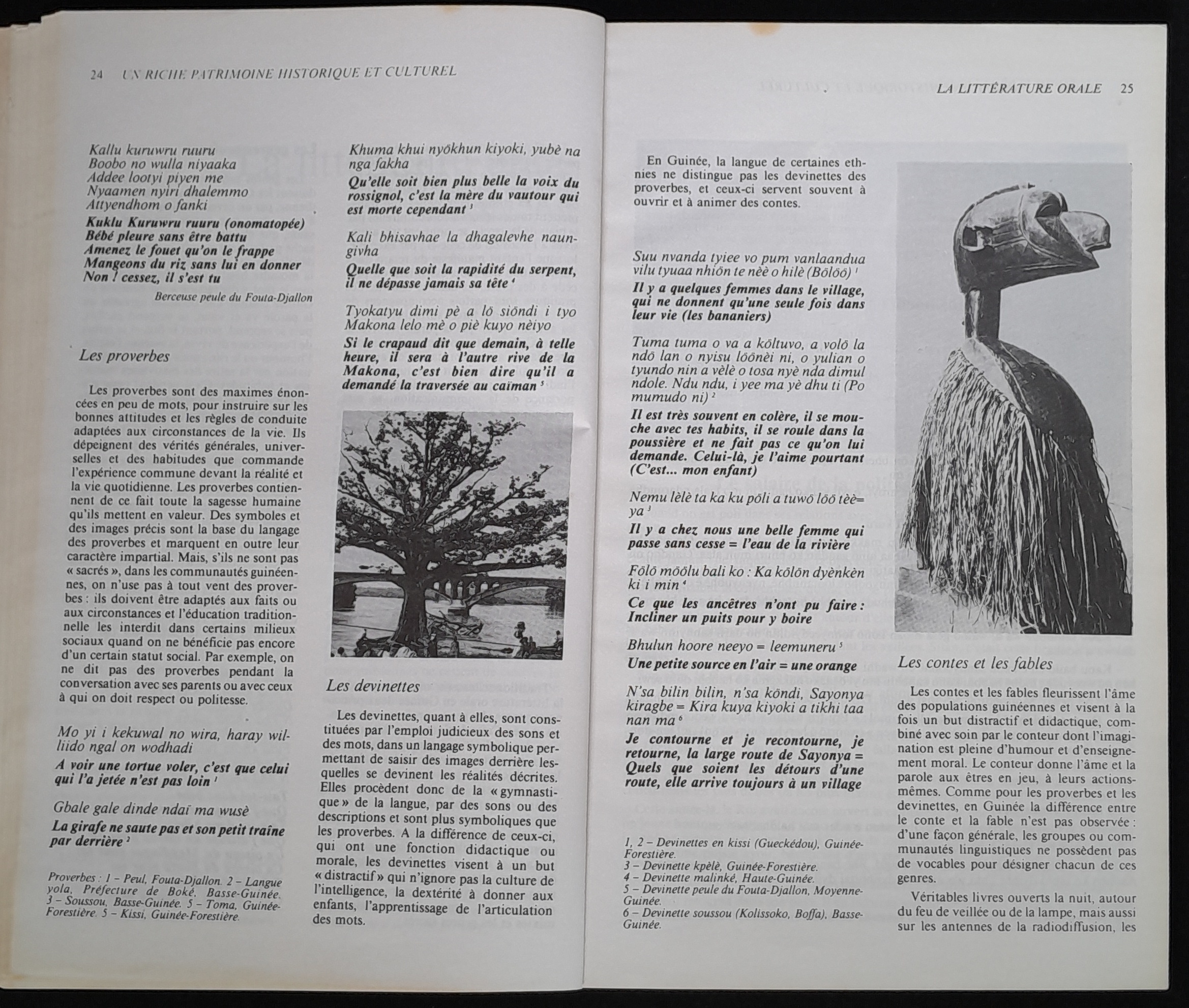 16.2 NotreLibrairie Litte╠üratureGuine╠üenne-14.jpg