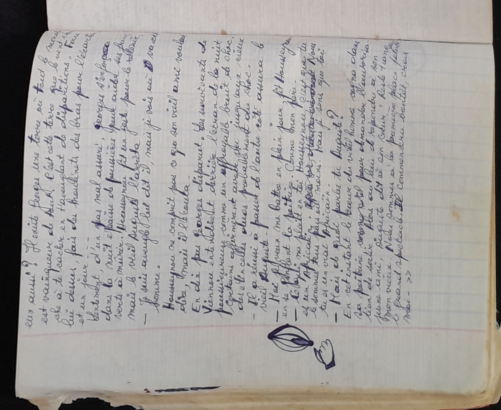 15.4.1 Cahier Le Lion38.jpg 15.4.1 Cahier Le Lion38.jpg