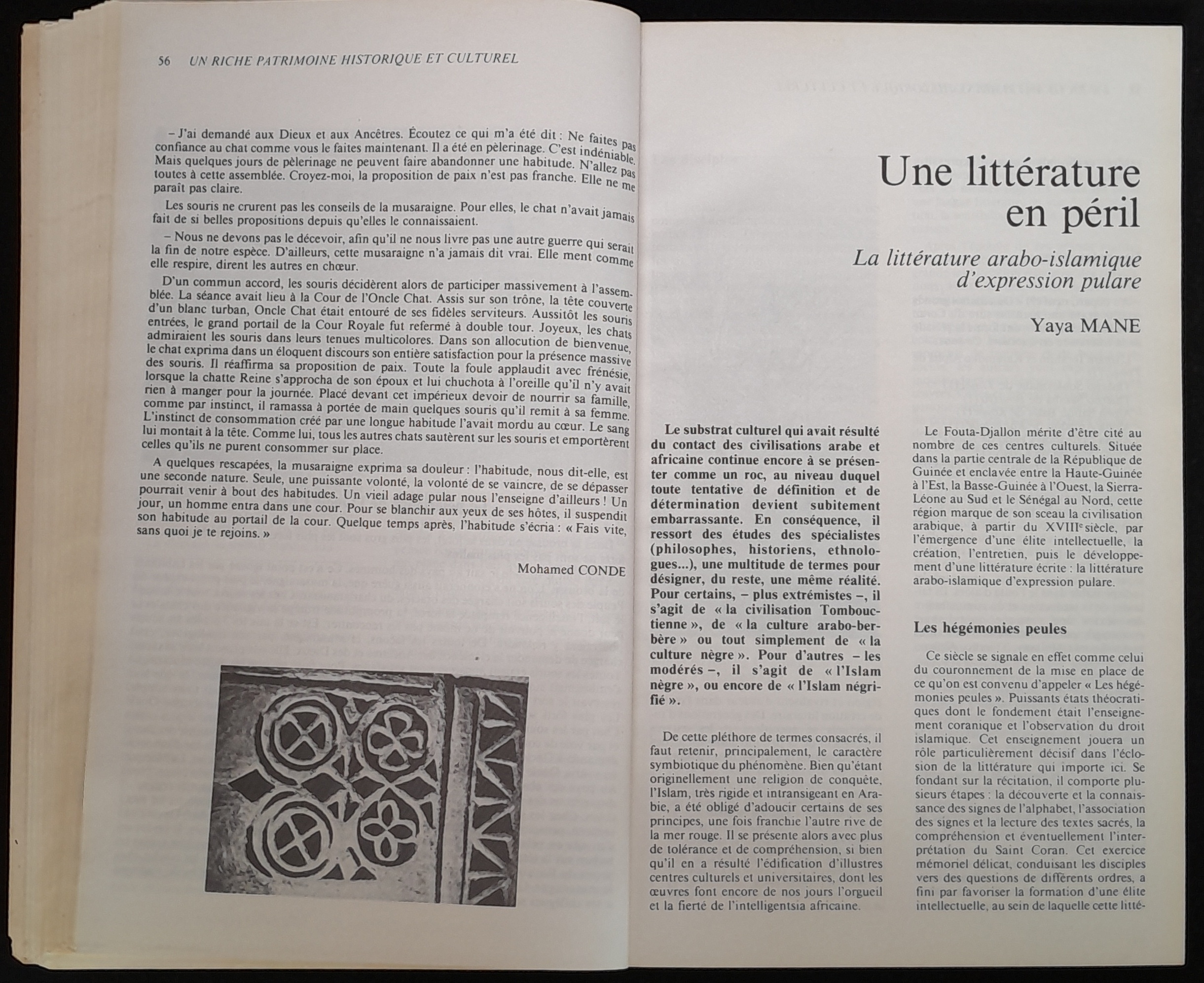 16.2 NotreLibrairie Litte╠üratureGuine╠üenne-30.jpg