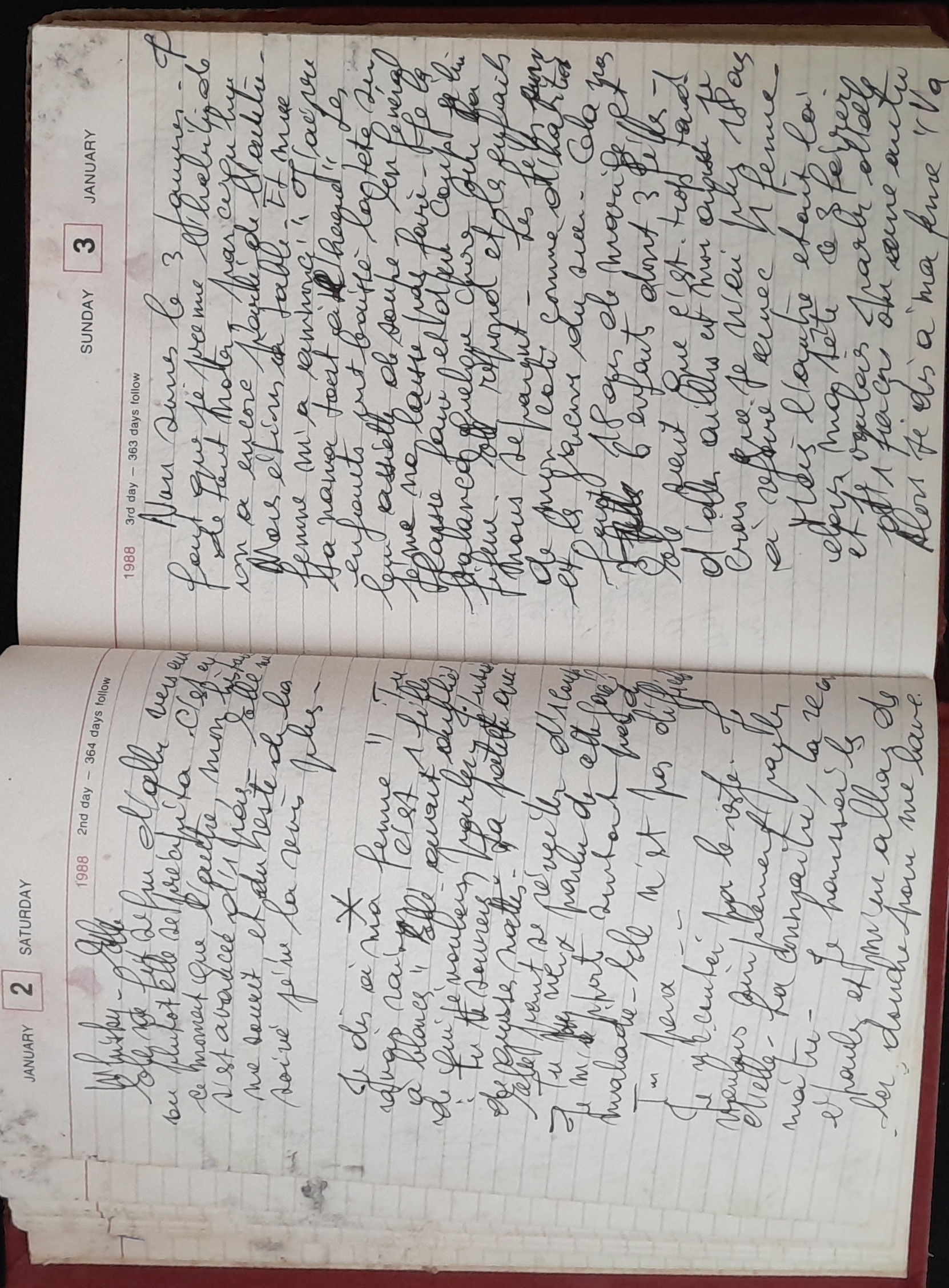 15.6.2 DailyReminder1988-8.jpg