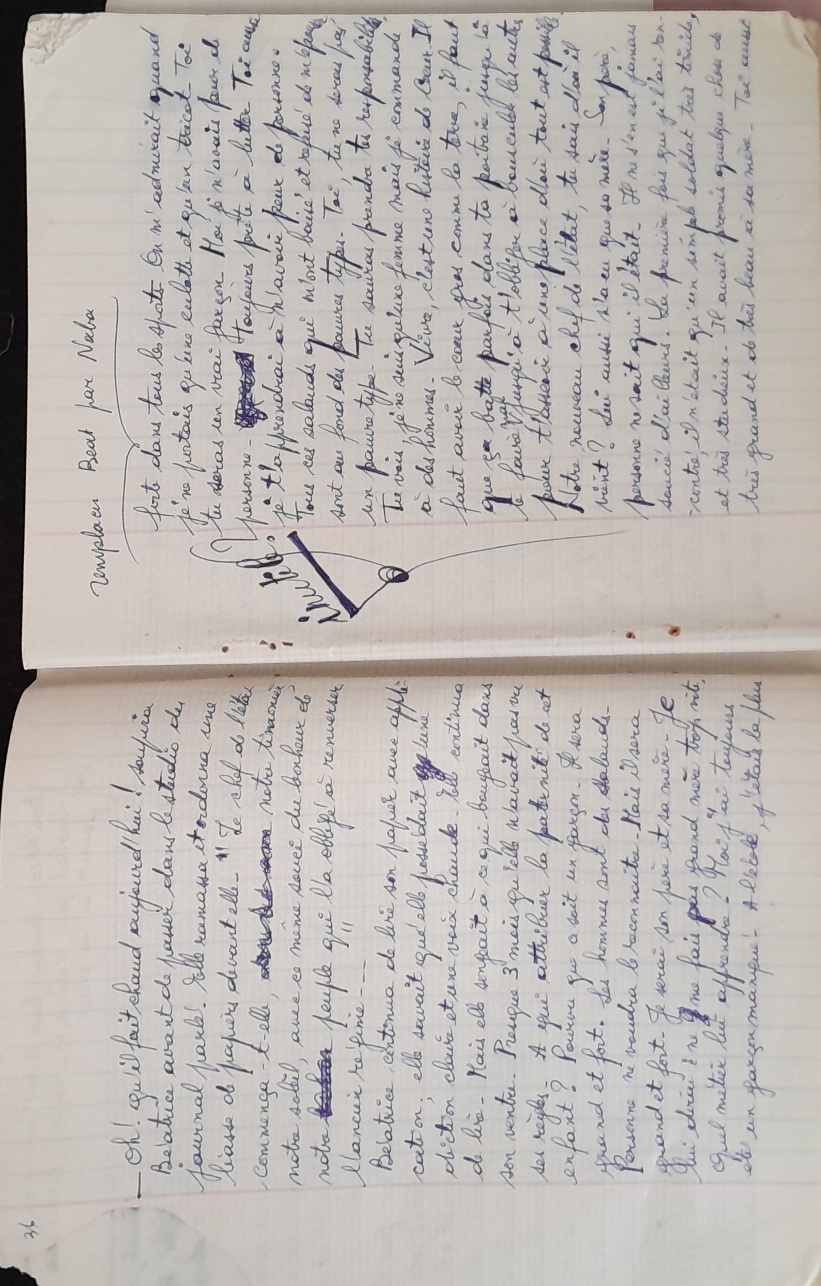 15.6.1 CahierRose MichelSeRelevaPéniblement-21.jpg 15.6.1 CahierRose MichelSeRelevaPéniblement-21.jpg