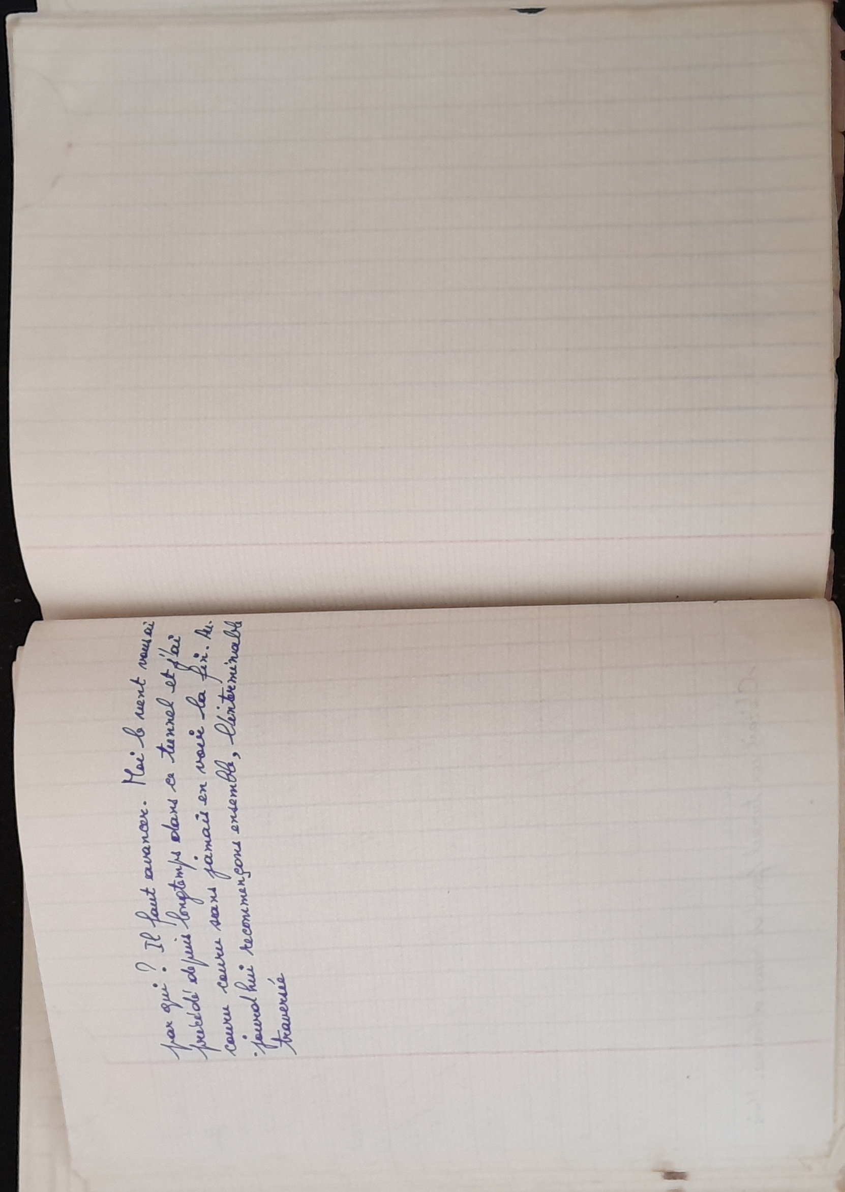 15.6.1 CahierRose MichelSeRelevaPe╠üniblement-78.jpg