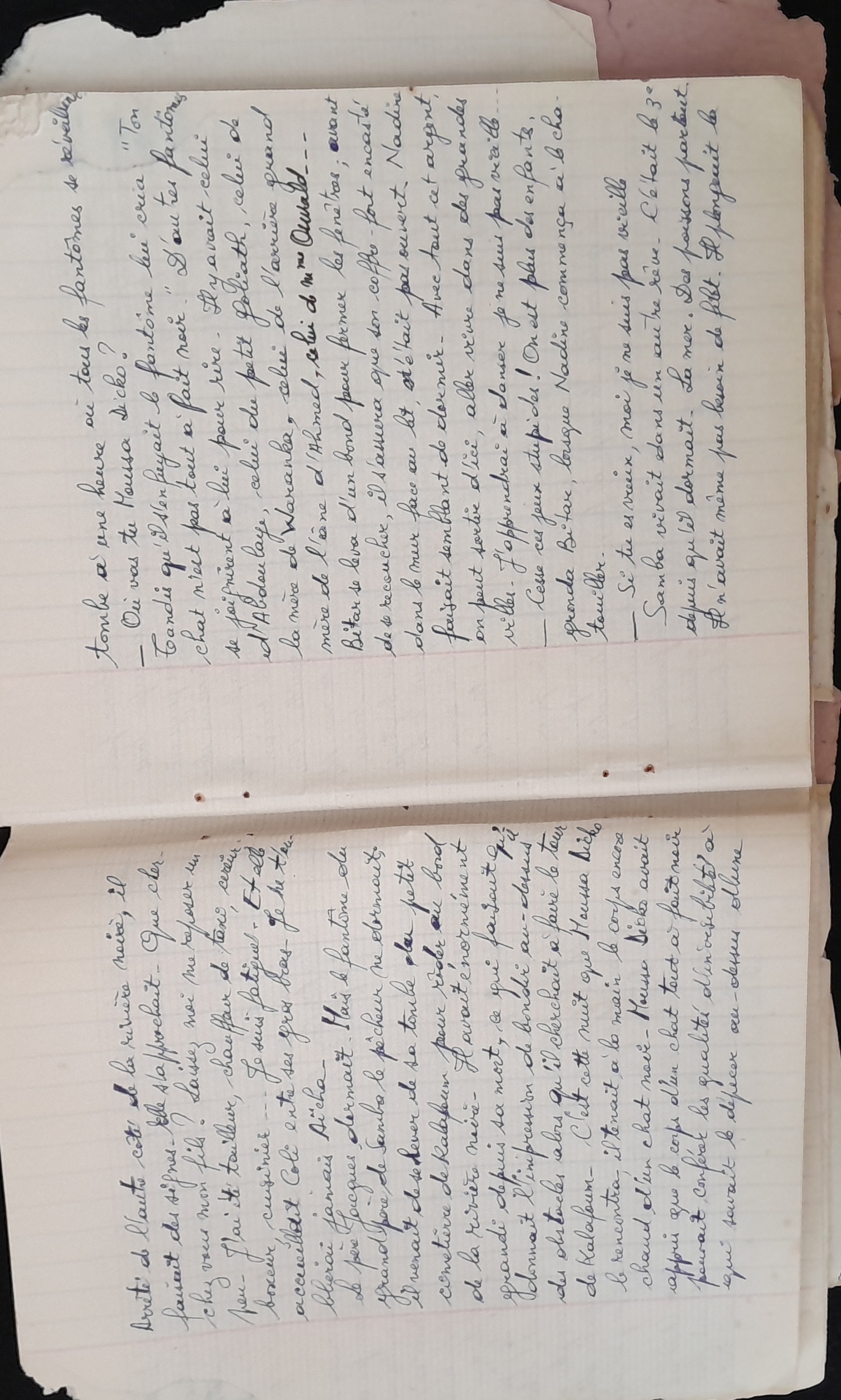 15.6.1 CahierRose MichelSeRelevaPe╠üniblement-12.jpg