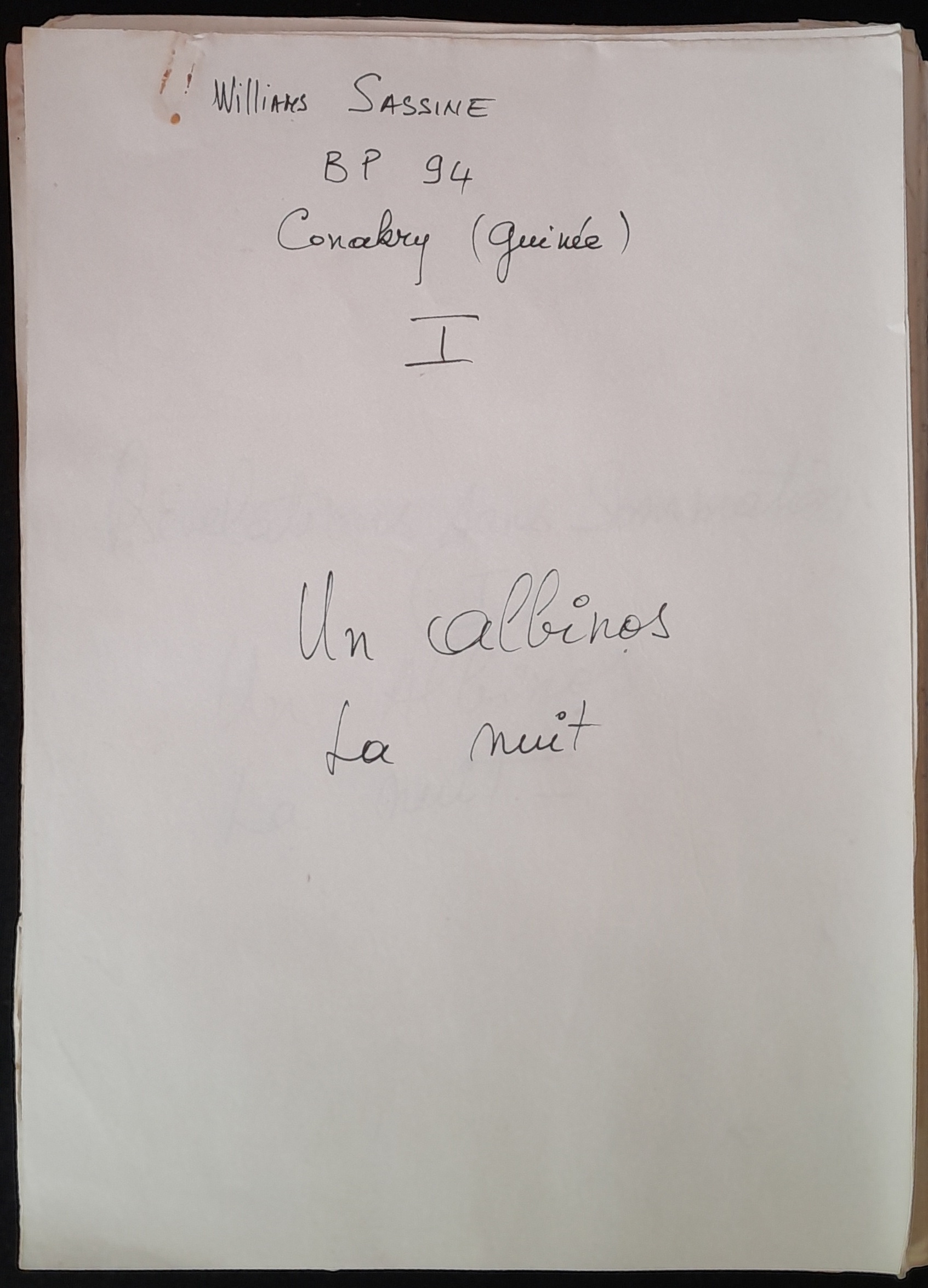 20.3 Albinos la nuit.jpg