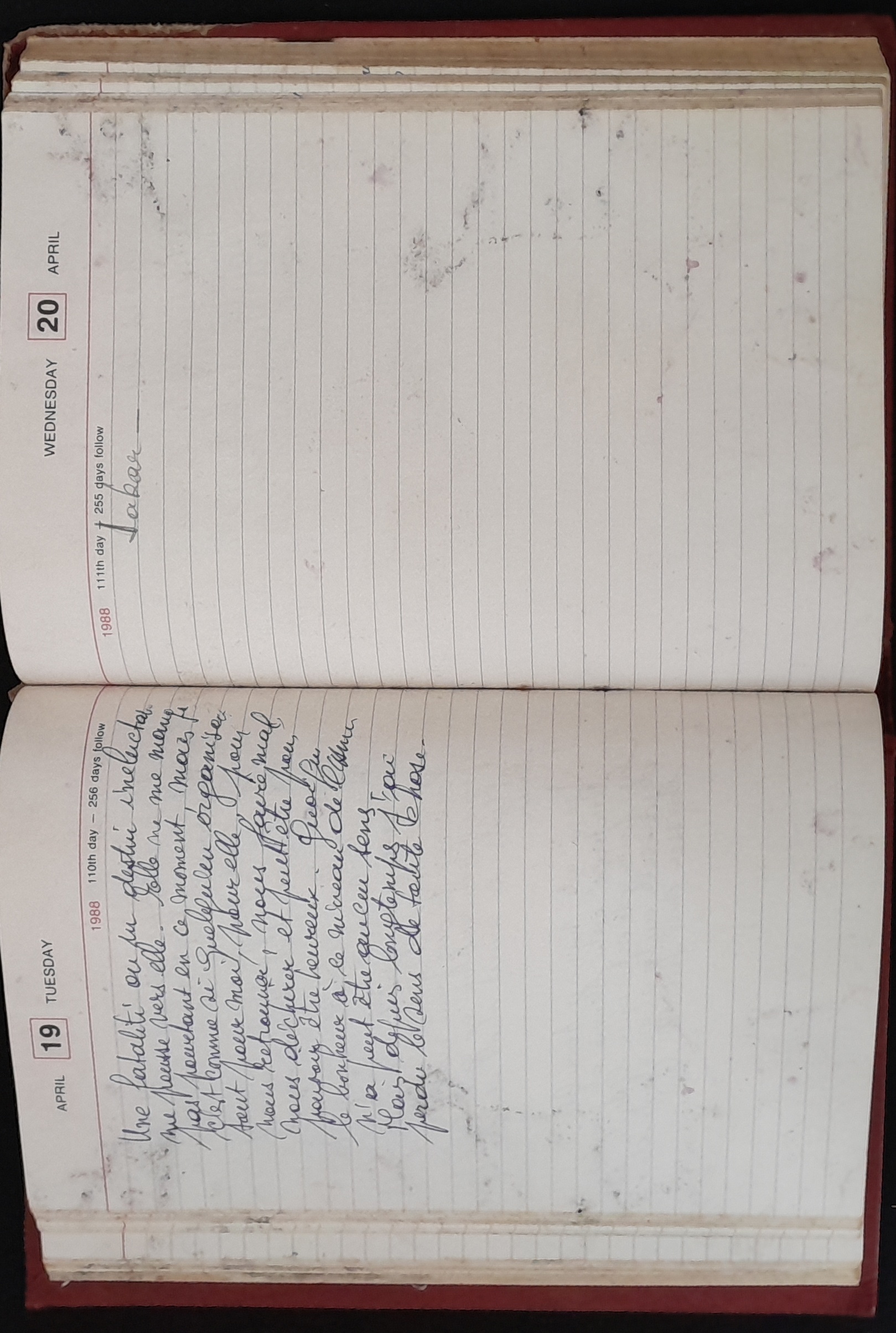 15.6.2 DailyReminder1988-41.jpg