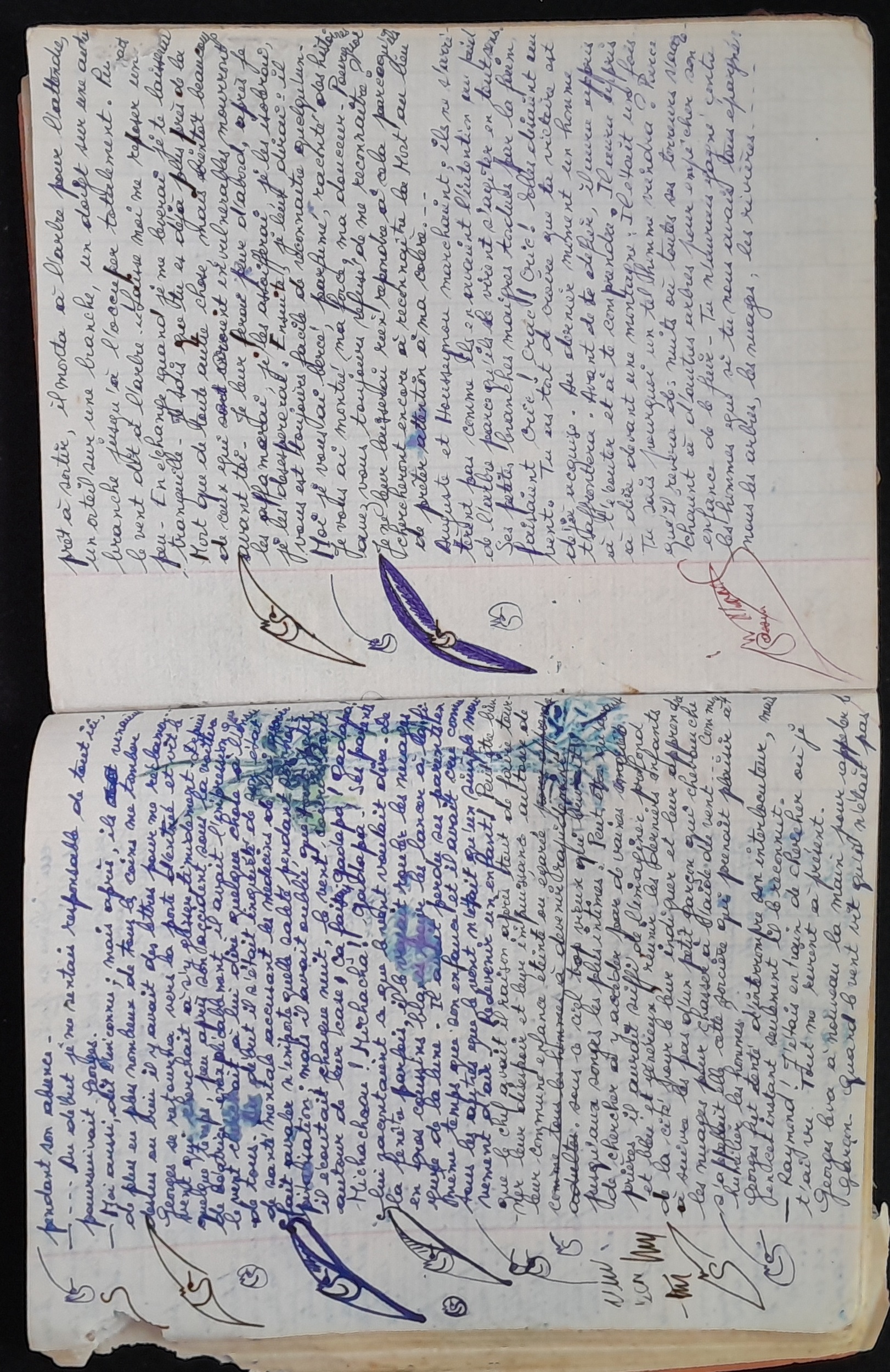 15.4.1 Cahier Le Lion34.jpg 15.4.1 Cahier Le Lion34.jpg