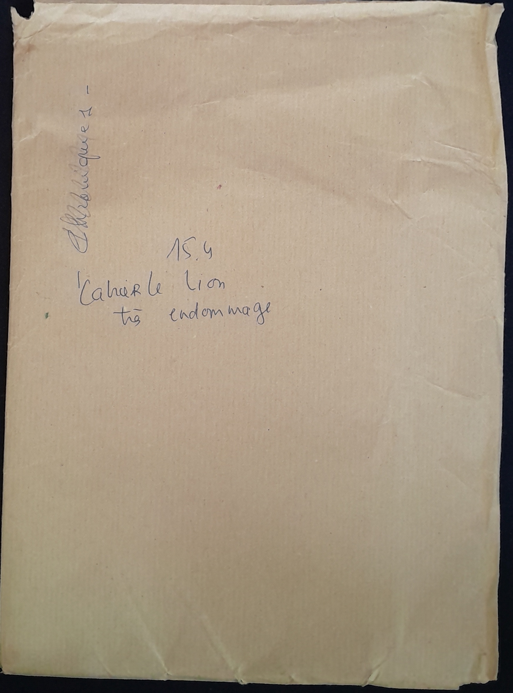 15.4.1 Cahier Le Lion1.jpg
