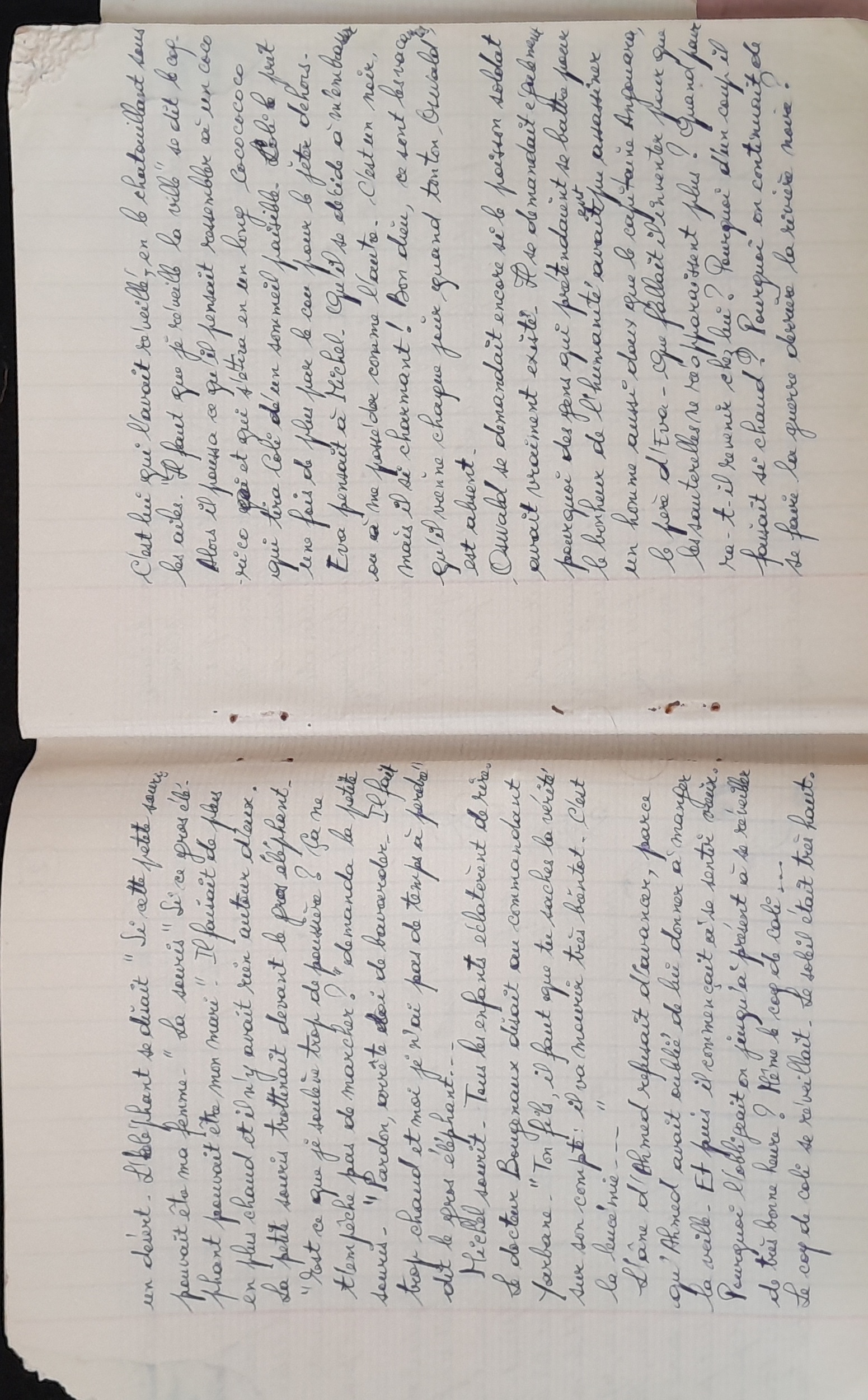 15.6.1 CahierRose MichelSeRelevaPéniblement-15.jpg 15.6.1 CahierRose MichelSeRelevaPéniblement-15.jpg
