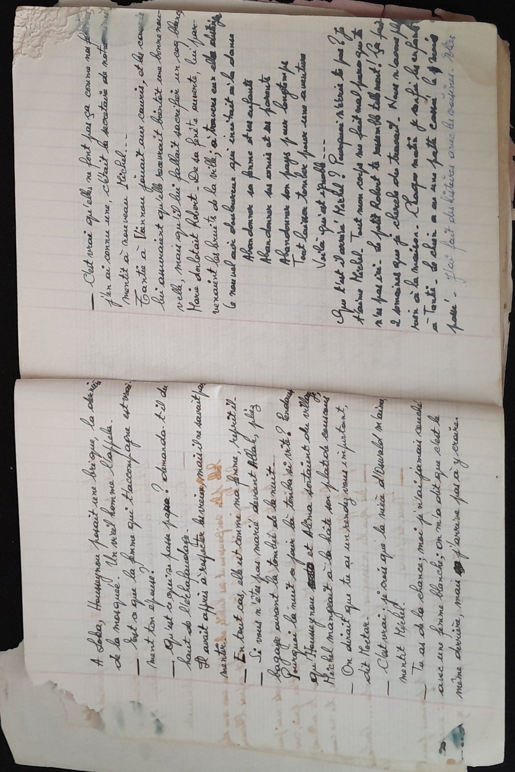 15.6.1 CahierRose MichelSeRelevaPe╠üniblement-7.jpg