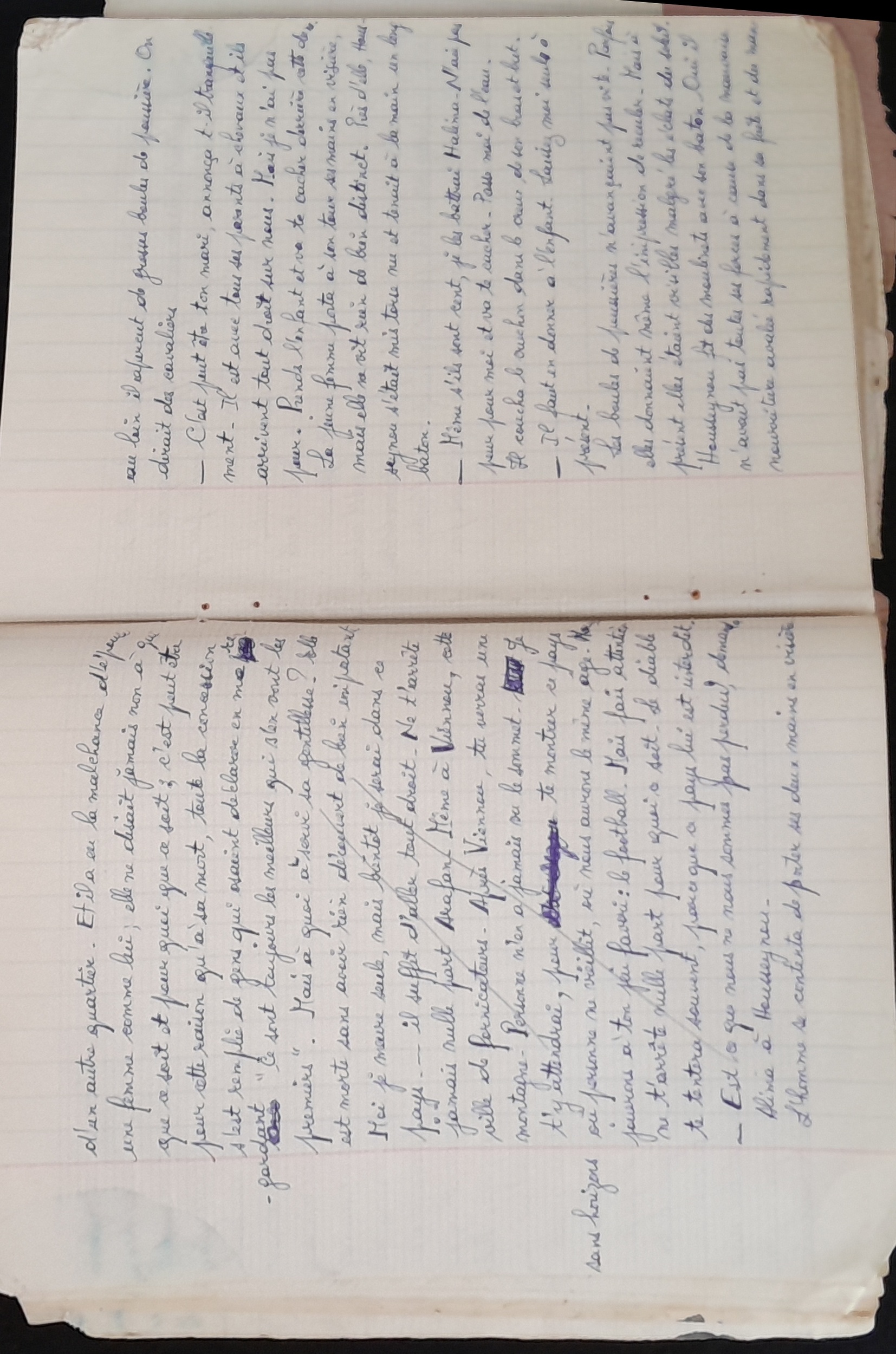 15.6.1 CahierRose MichelSeRelevaPe╠üniblement-23.jpg