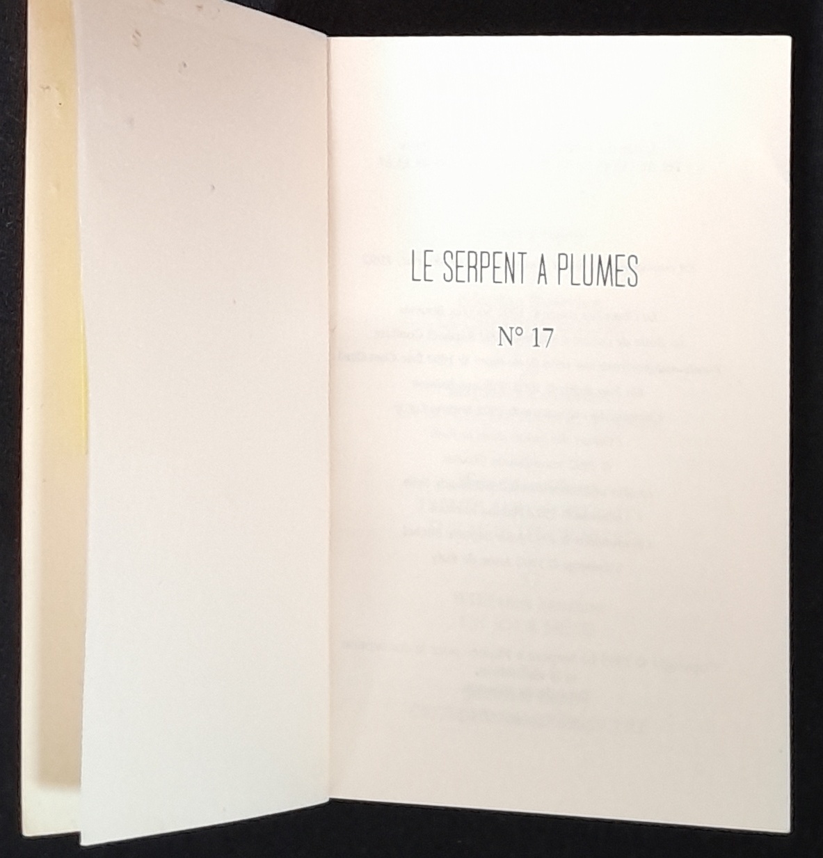 22.4.5 SerpentàPlumesN°17-2.jpg