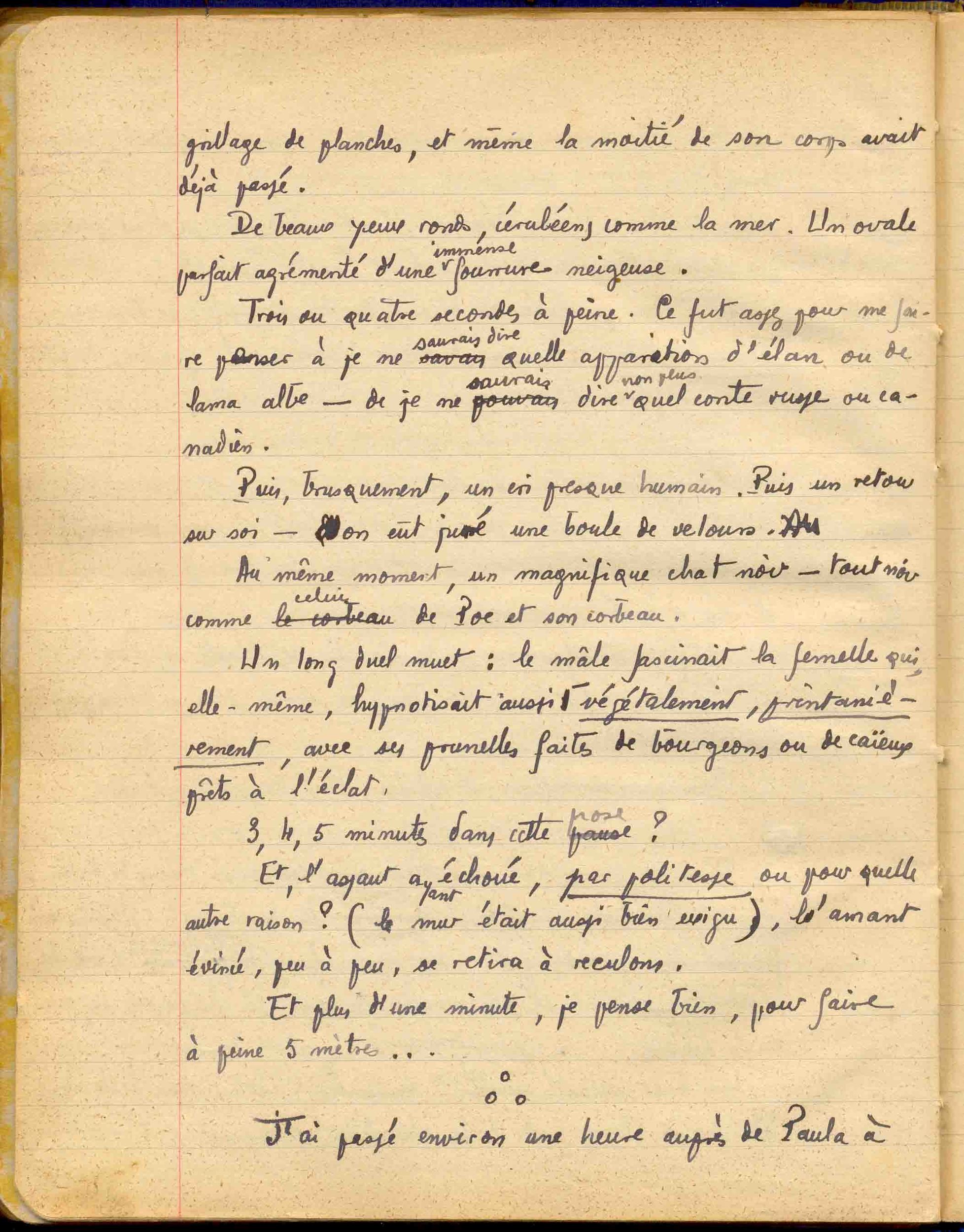 p248b.jpg p248b.jpg