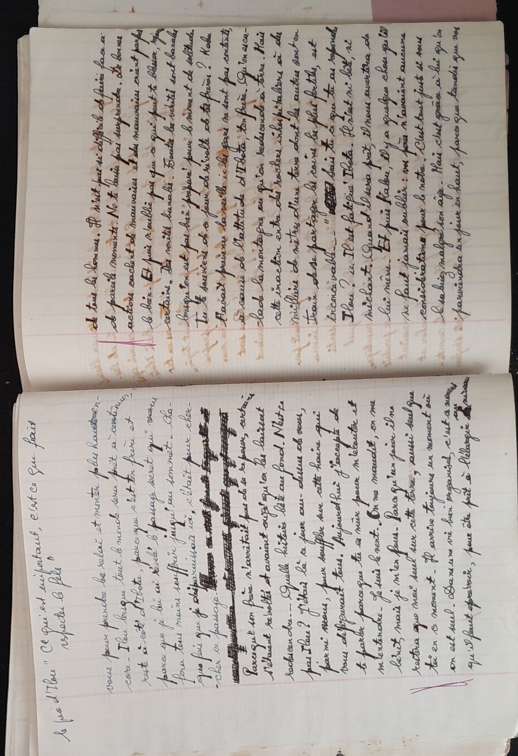 15.6.1 CahierRose MichelSeRelevaPe╠üniblement-64.jpg