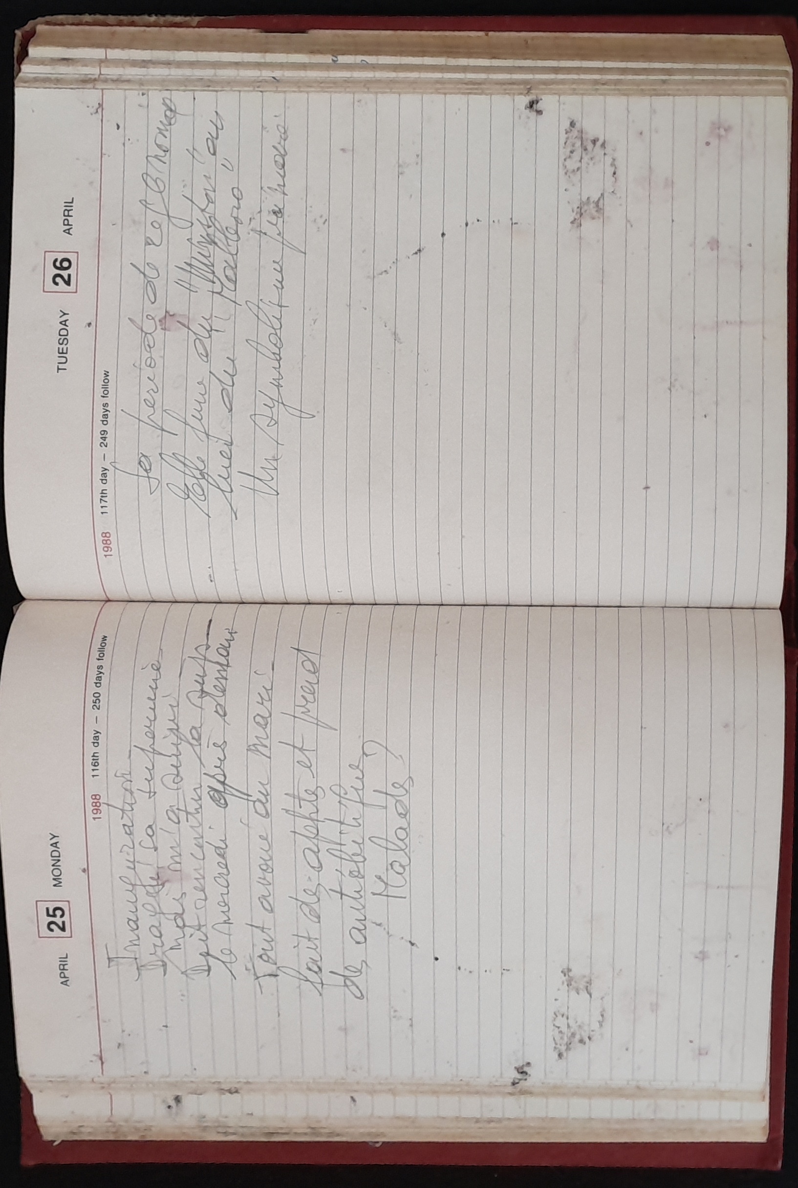 15.6.2 DailyReminder1988-44.jpg