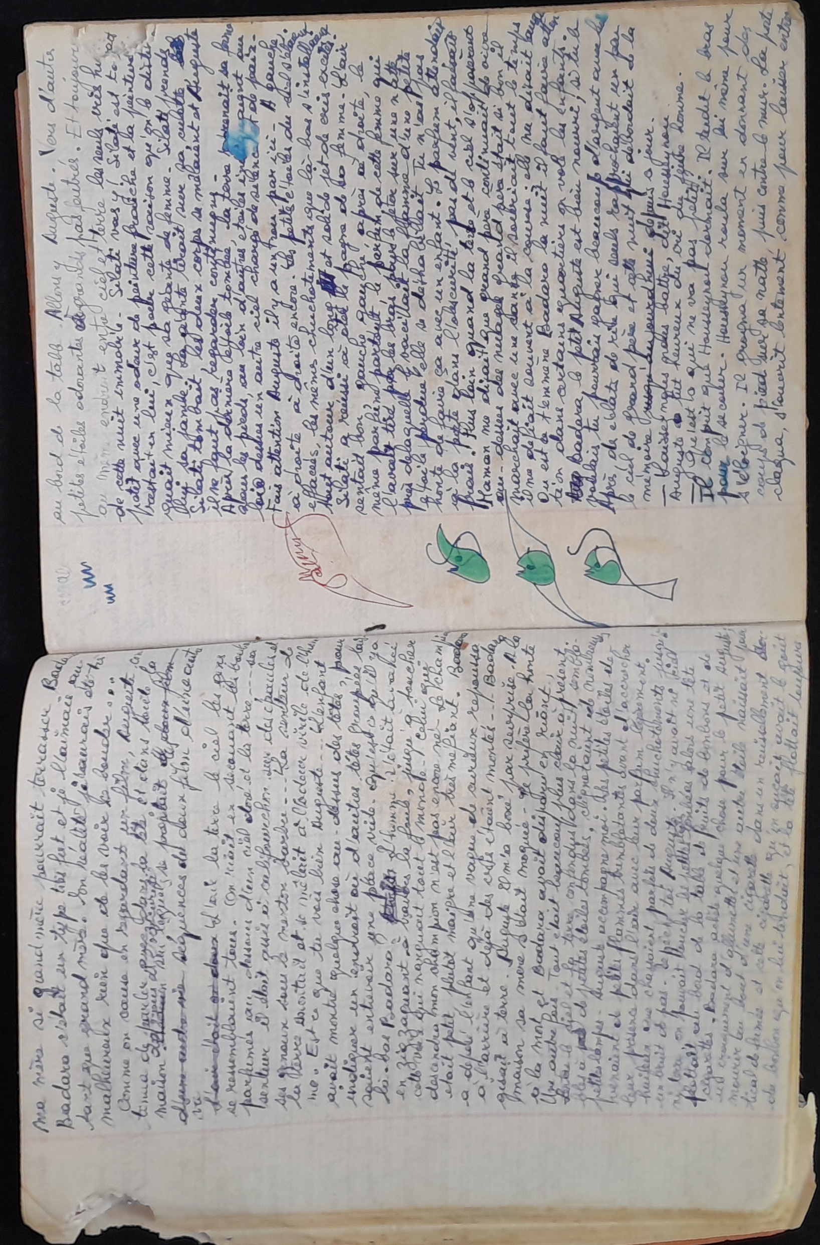 15.4.1 Cahier Le Lion30.jpg