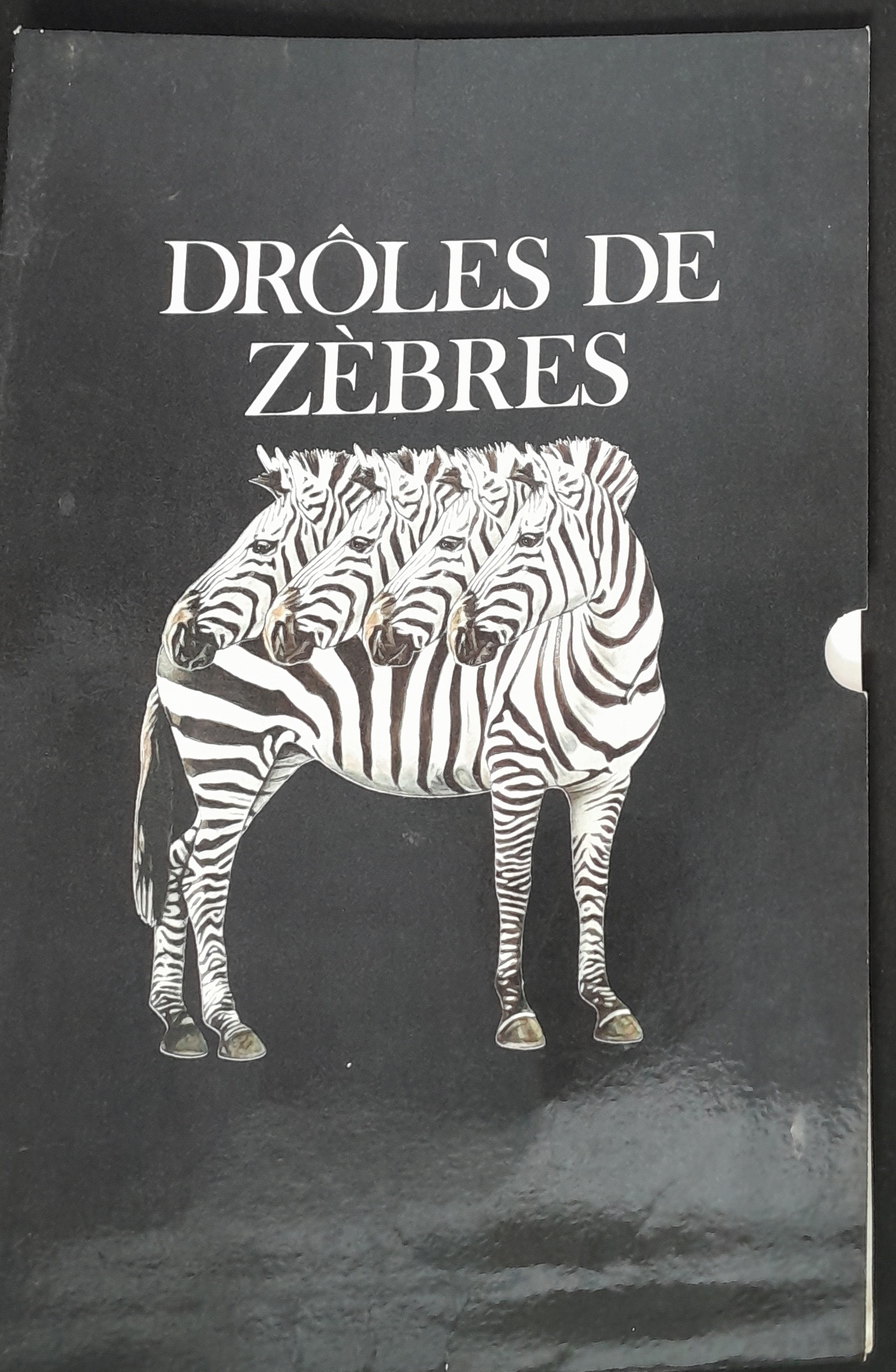 18.1.11 Dro╠éle de ze╠Çbres.jpg