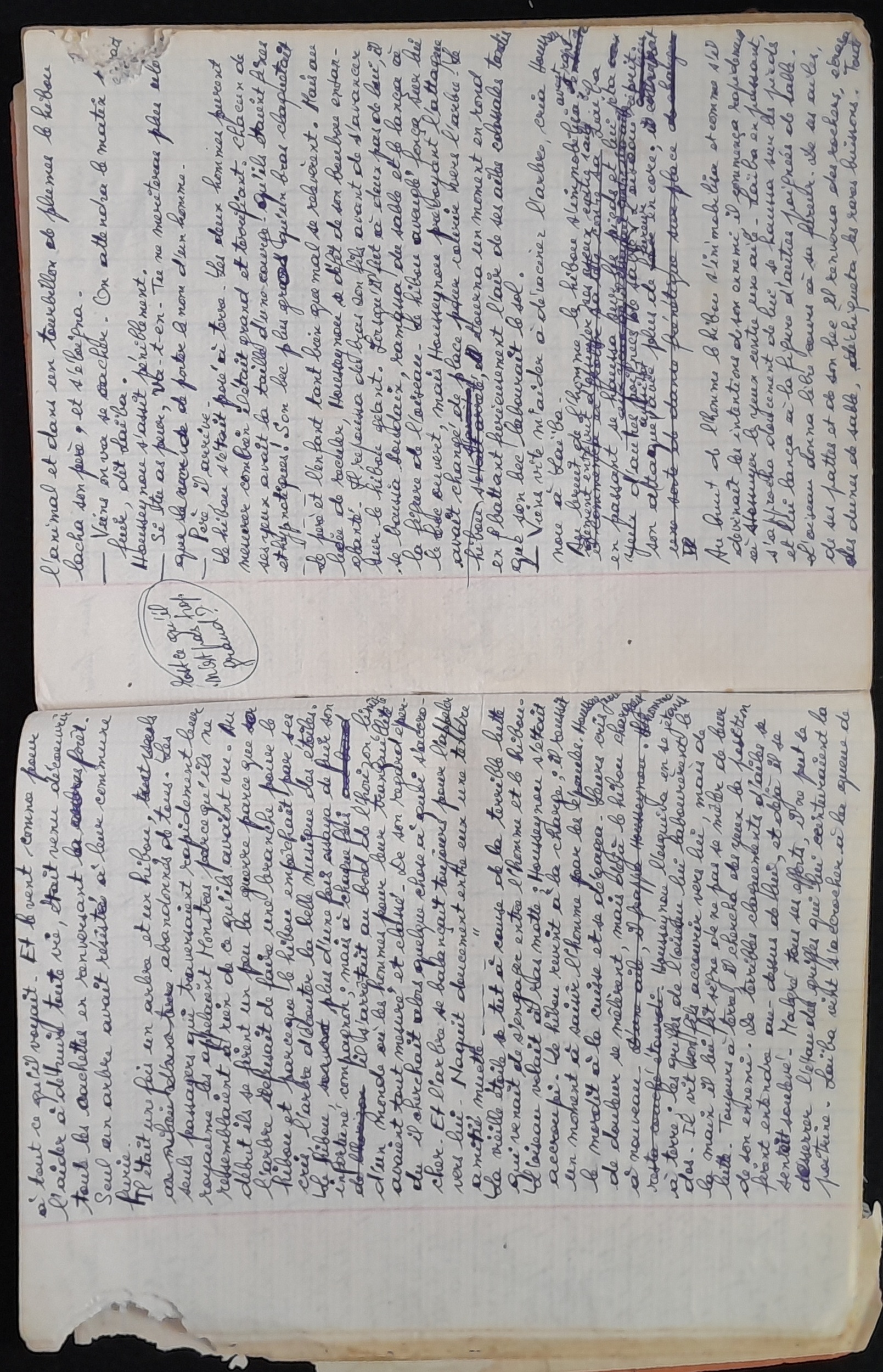 15.4.1 Cahier Le Lion18.jpg