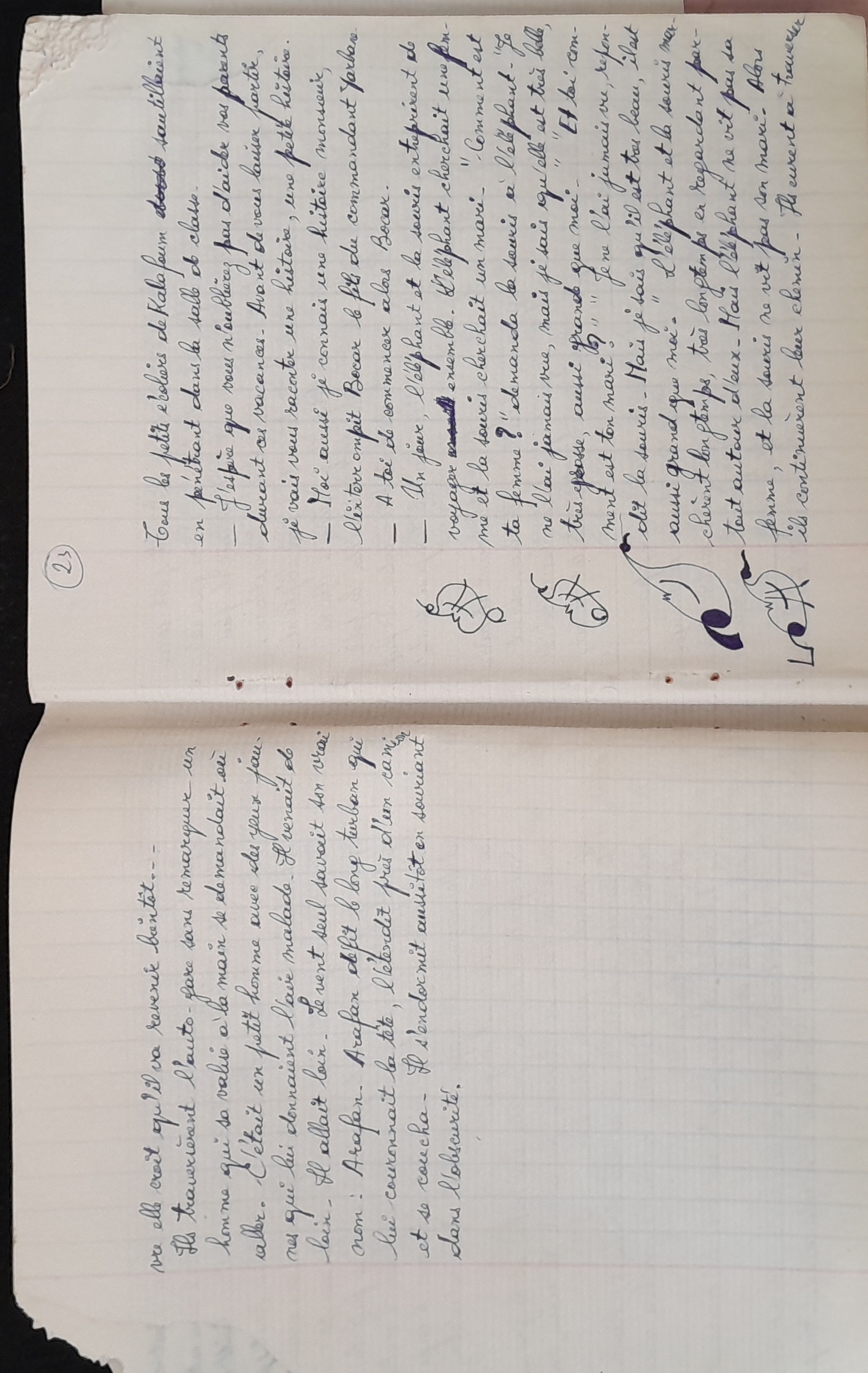 15.6.1 CahierRose MichelSeRelevaPe╠üniblement-14.jpg