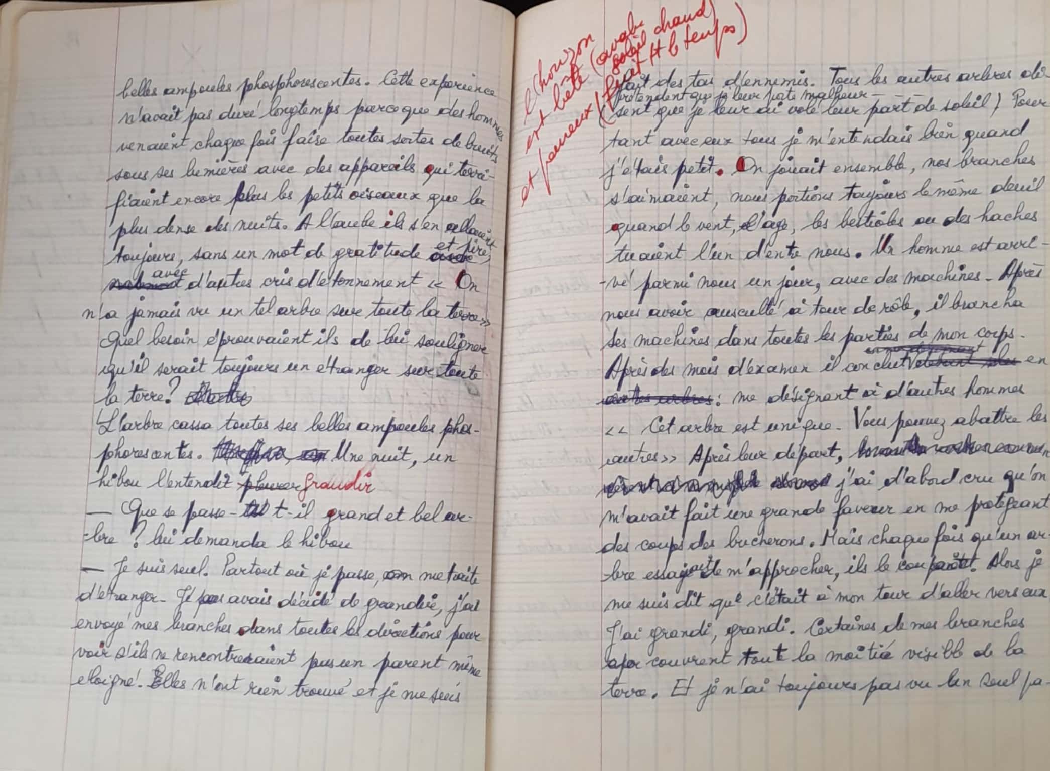 15.1.5 CahierGris l'Alphabe╠éte-42.jpg