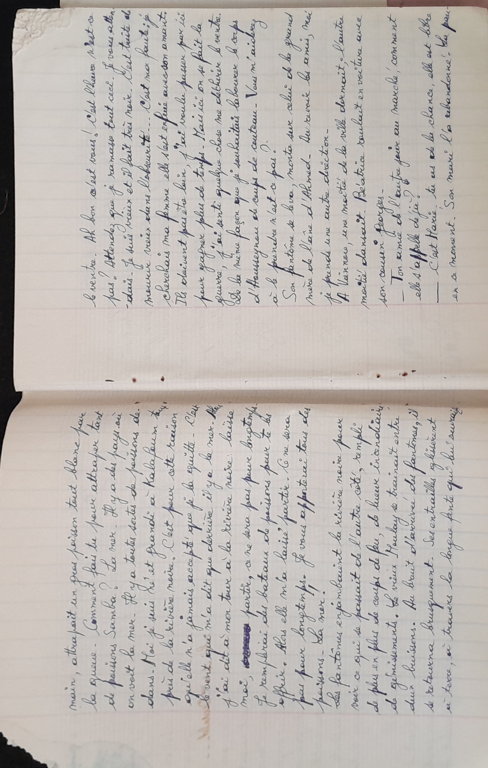 15.6.1 CahierRose MichelSeRelevaPe╠üniblement-13.jpg