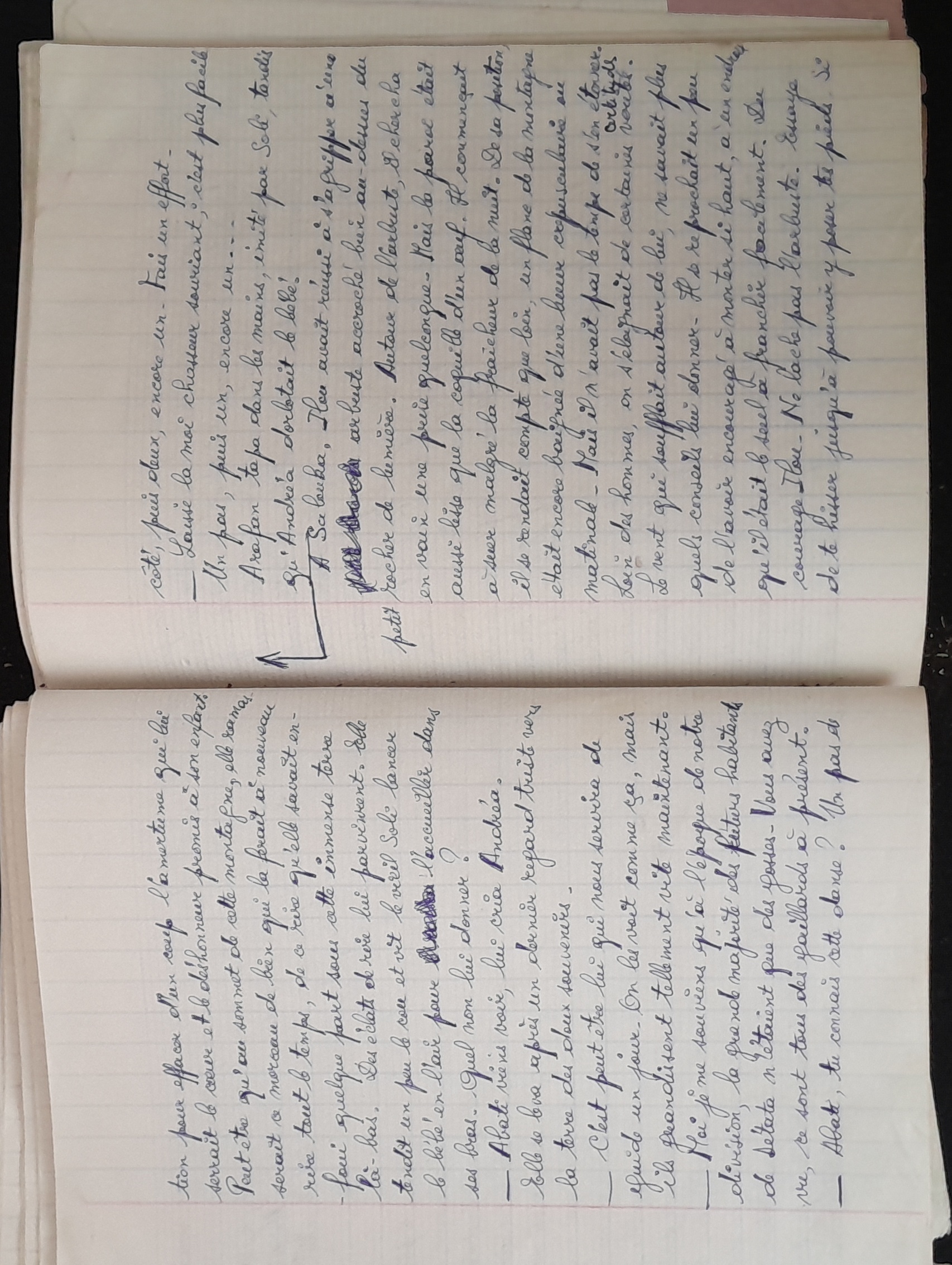 15.6.1 CahierRose MichelSeRelevaPéniblement-71.jpg 15.6.1 CahierRose MichelSeRelevaPéniblement-71.jpg