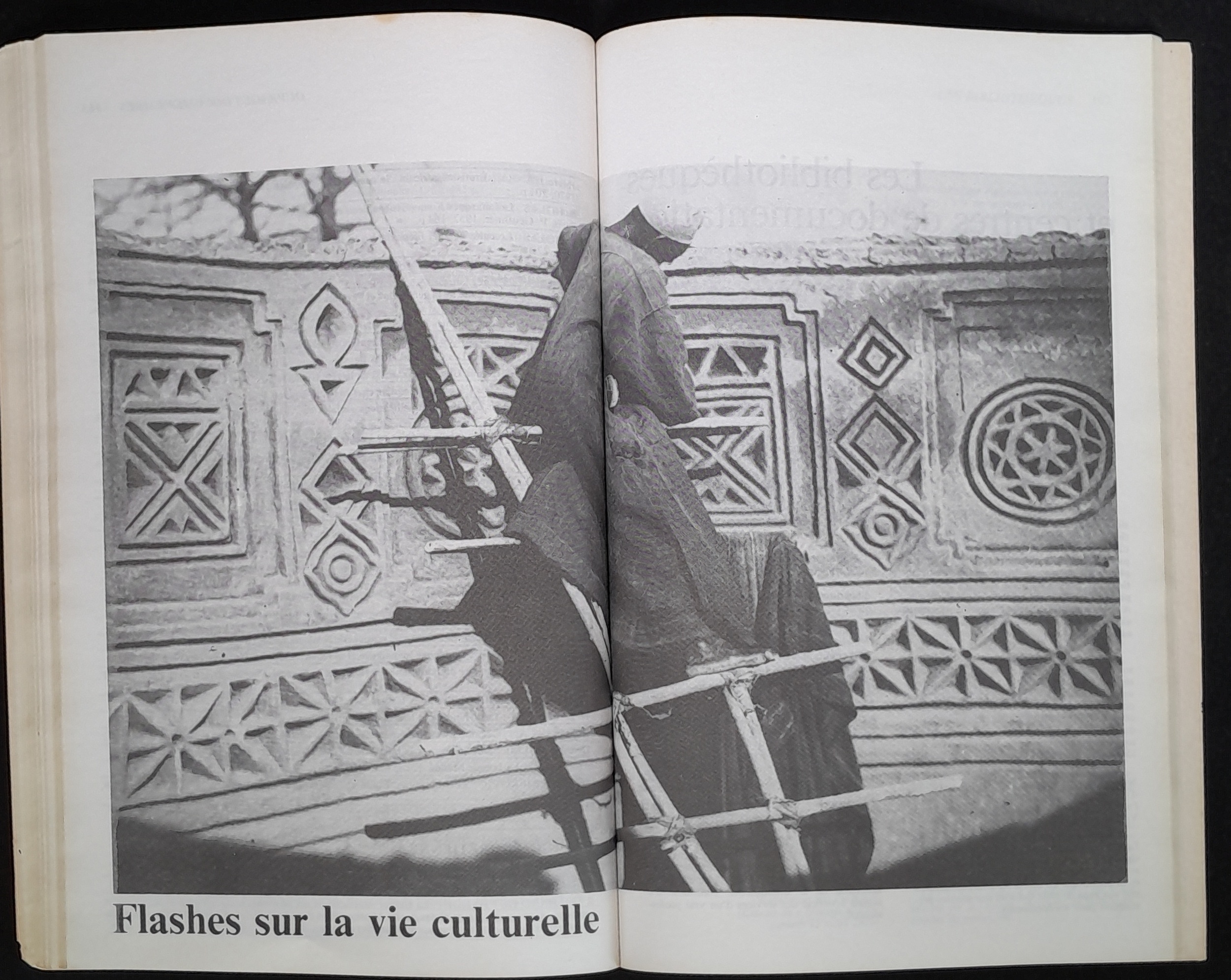 16.2 NotreLibrairie Litte╠üratureGuine╠üenne-84.jpg