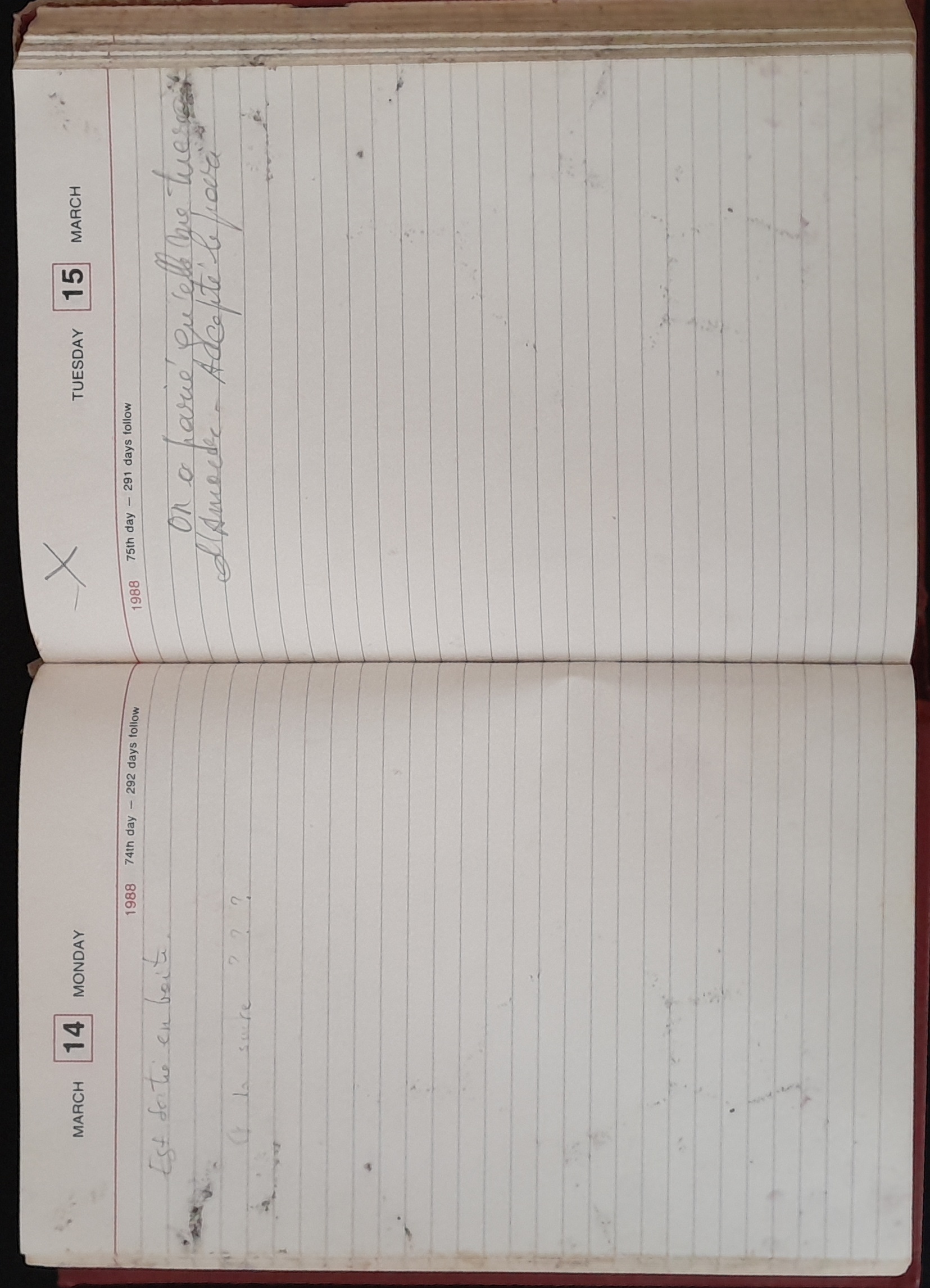 15.6.2 DailyReminder1988-38.jpg