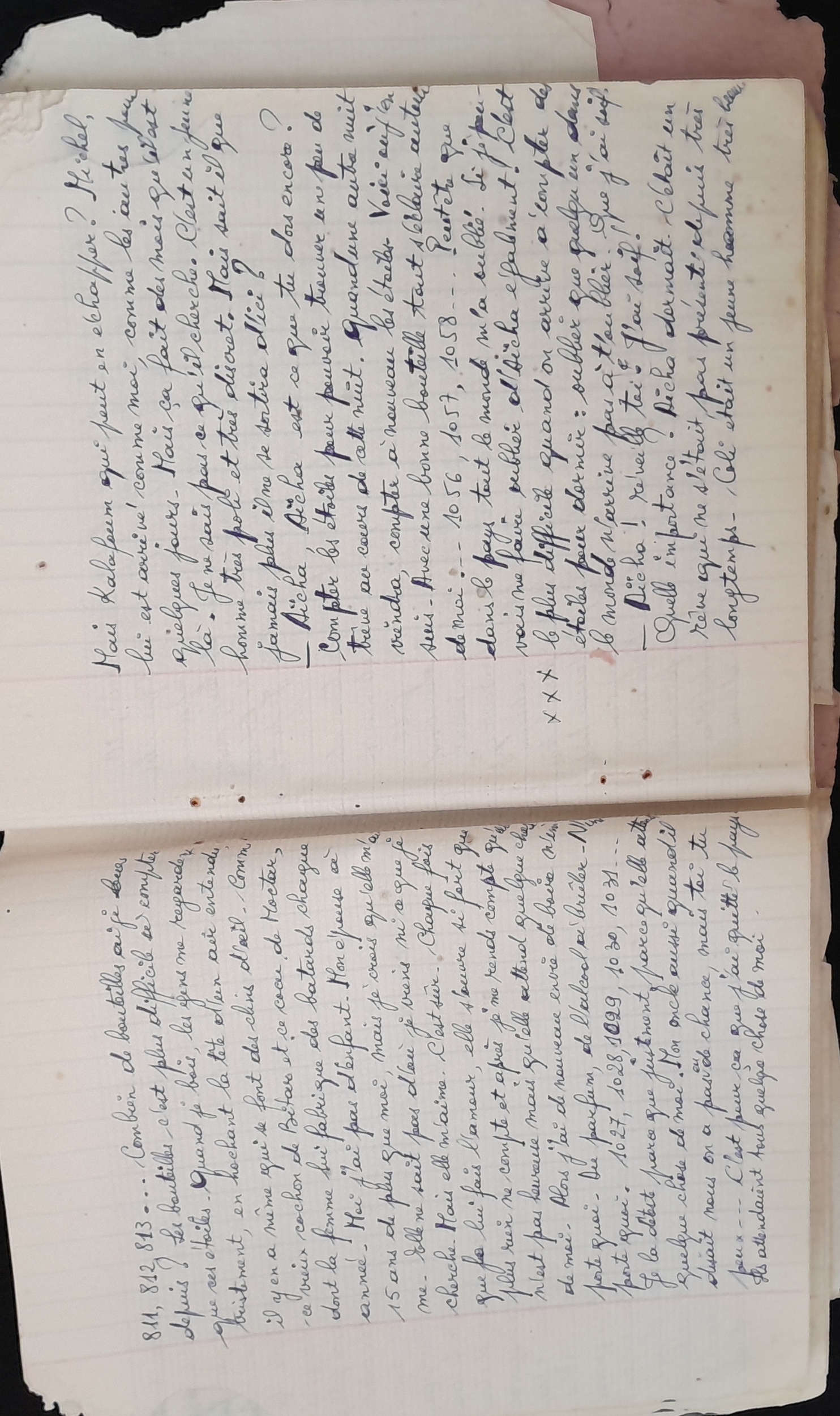 15.6.1 CahierRose MichelSeRelevaPe╠üniblement-11.jpg