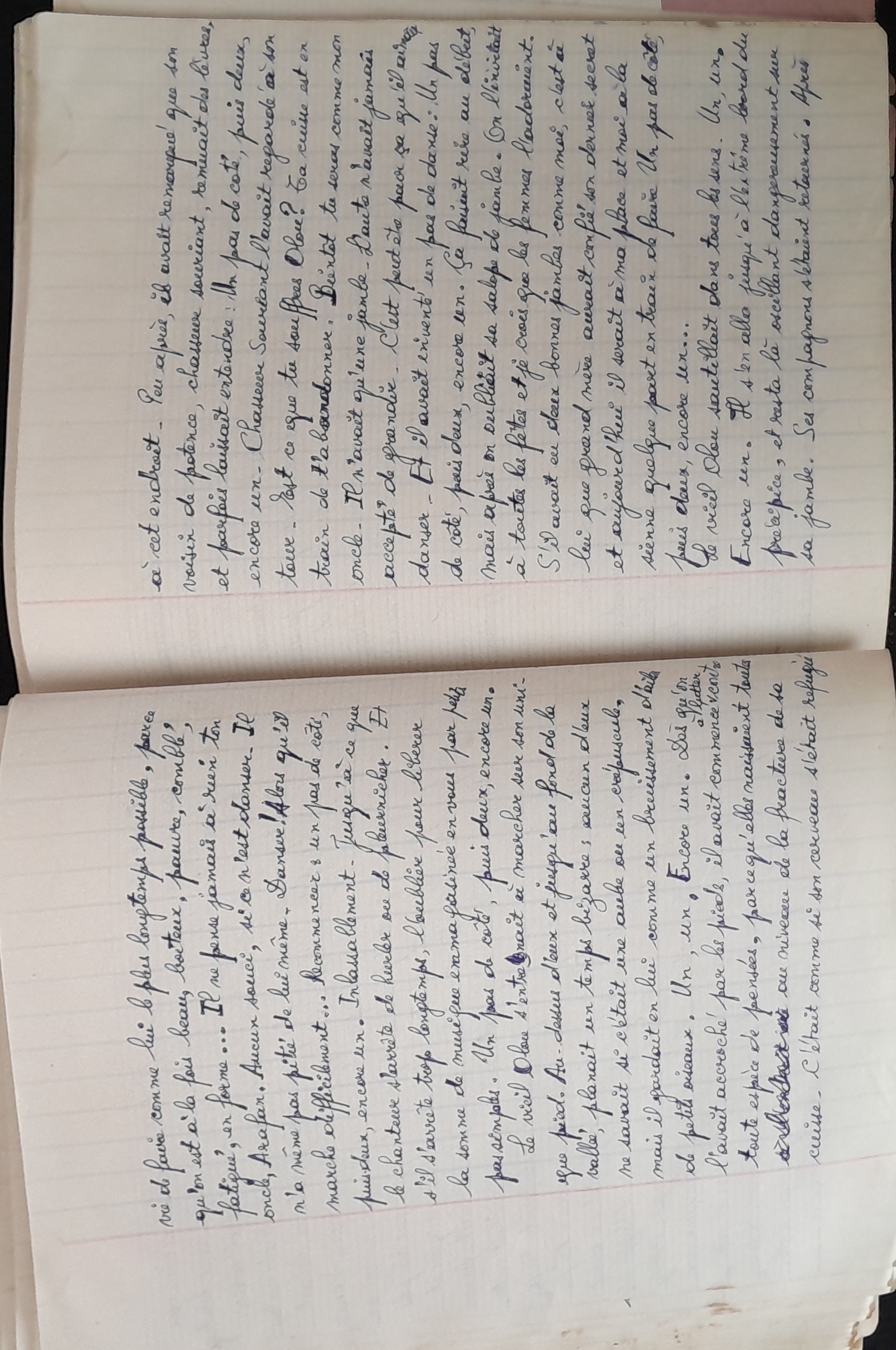 15.6.1 CahierRose MichelSeRelevaPe╠üniblement-69.jpg