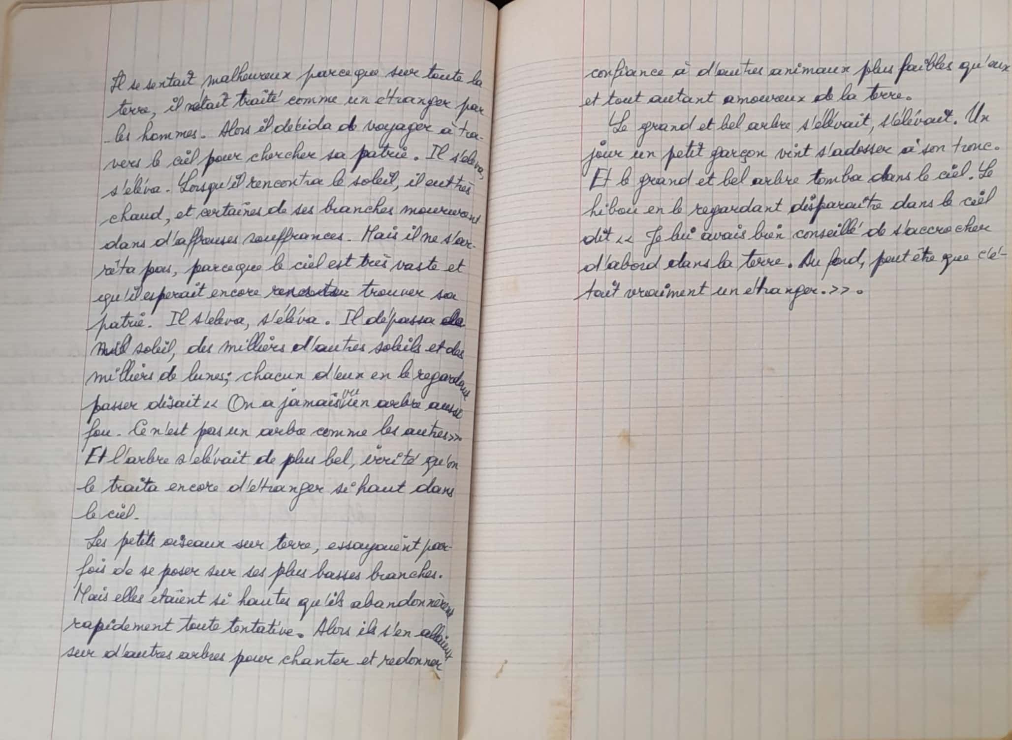 15.1.5 CahierGris l'Alphabe╠éte-44.jpg