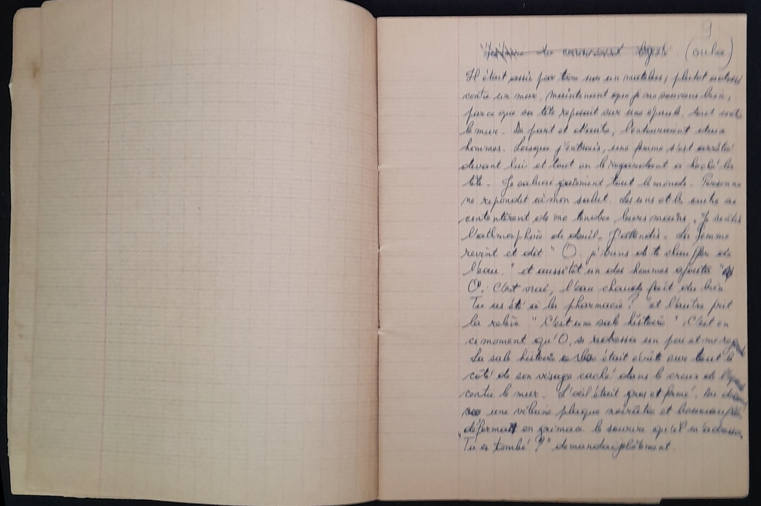 15.5.3 CahiermanuscritsLeCrocodile-7.jpg 15.5.3 CahiermanuscritsLeCrocodile-7.jpg