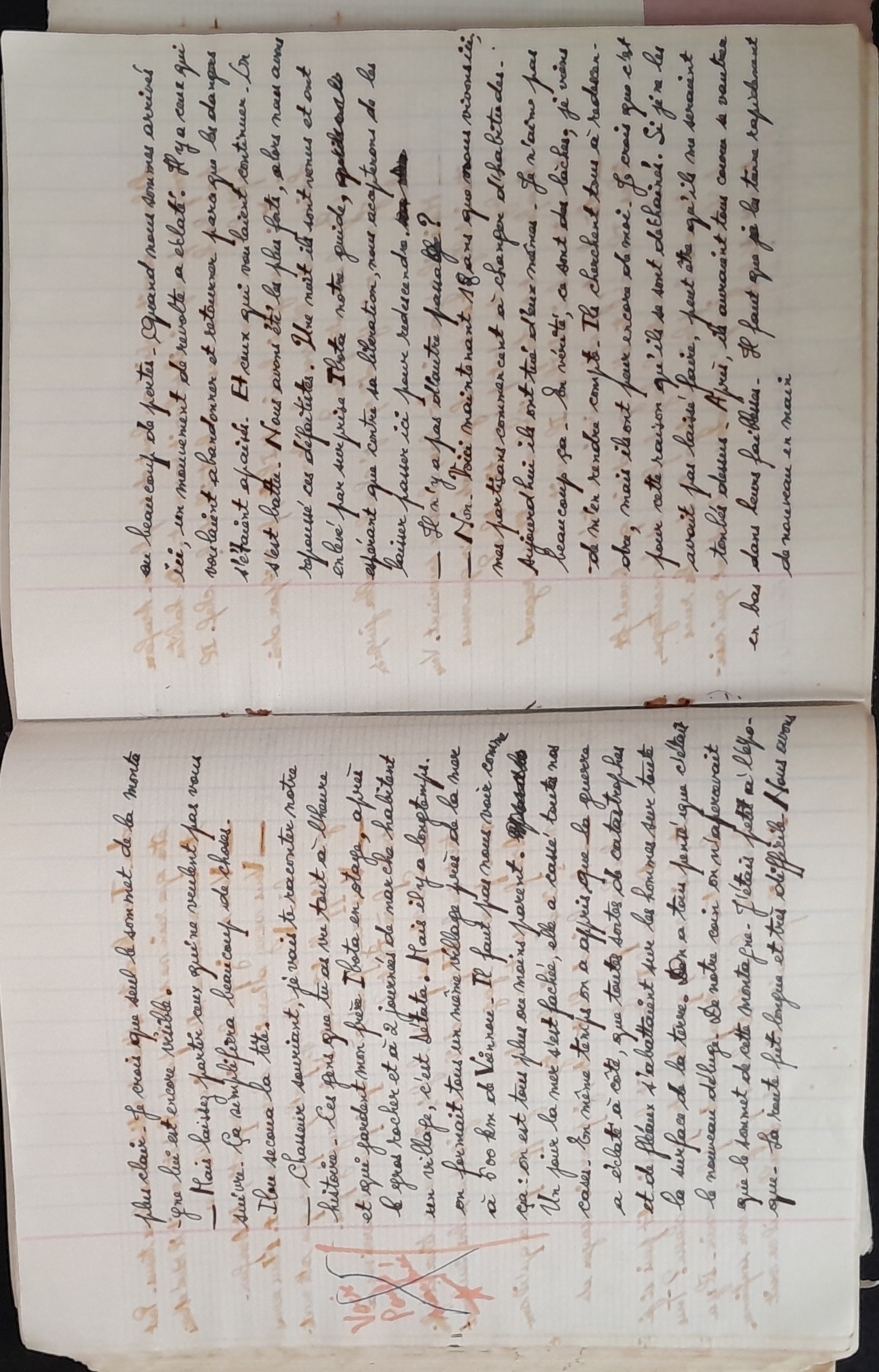 15.6.1 CahierRose MichelSeRelevaPe╠üniblement-49.jpg