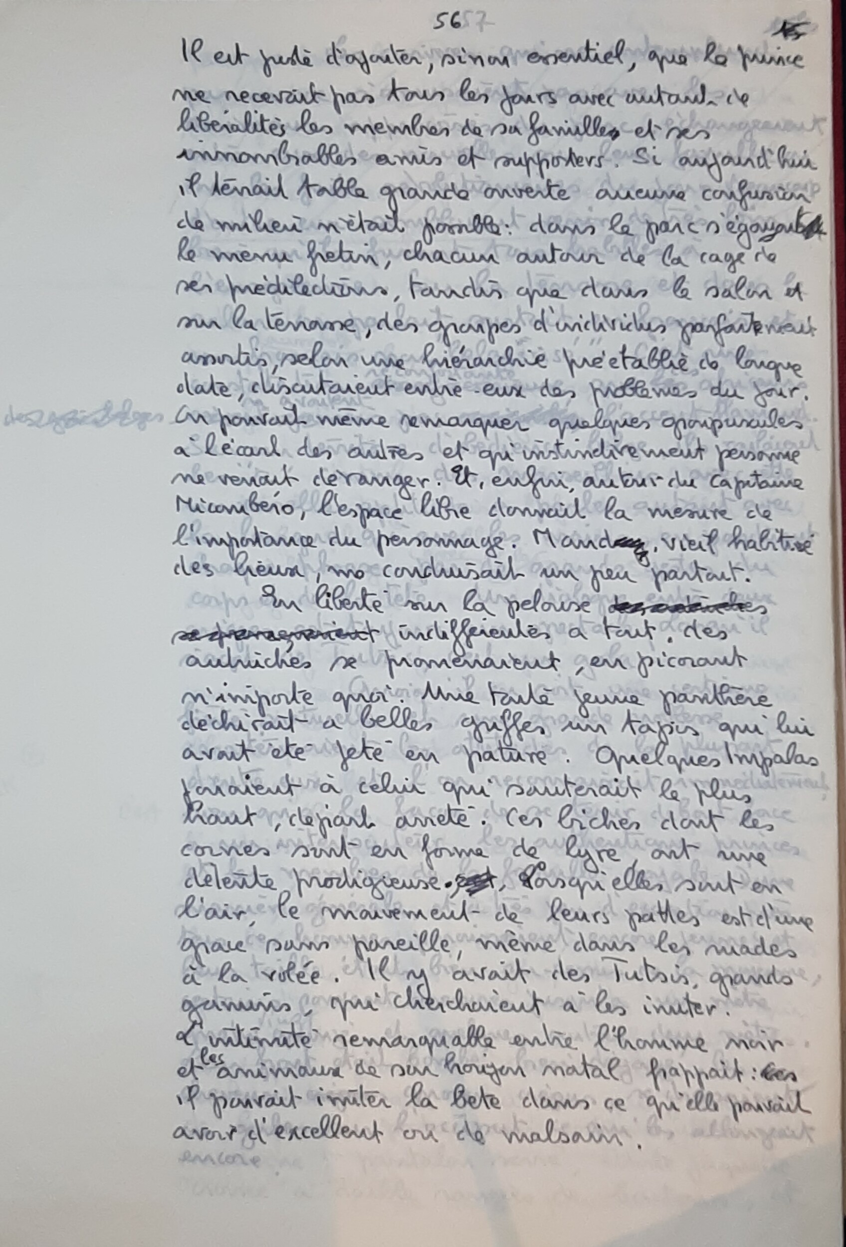 Un Guadeloupeen en Afrique _060.jpg Un Guadeloupeen en Afrique _060.jpg
