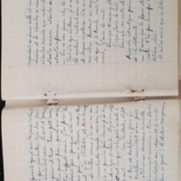 15.6.1 CahierRose MichelSeRelevaPe╠üniblement-9.jpg