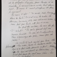 24.1 Funérailles tropicales Manuscrit 30.jpg