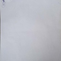 A-Albinos fils d&#039;un dictateur révolutionnaire, B-Femme ...