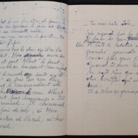 15.5 Cahier manuscrit Un Ami-8.jpg