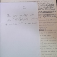 22.4.3 UnJourMétisC-0.jpg