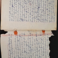 15.4.1 Cahier Le Lion4.jpg